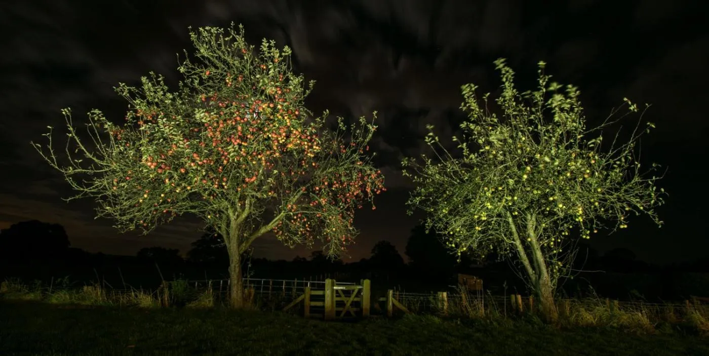 The Moorhead Bed & Breakfast