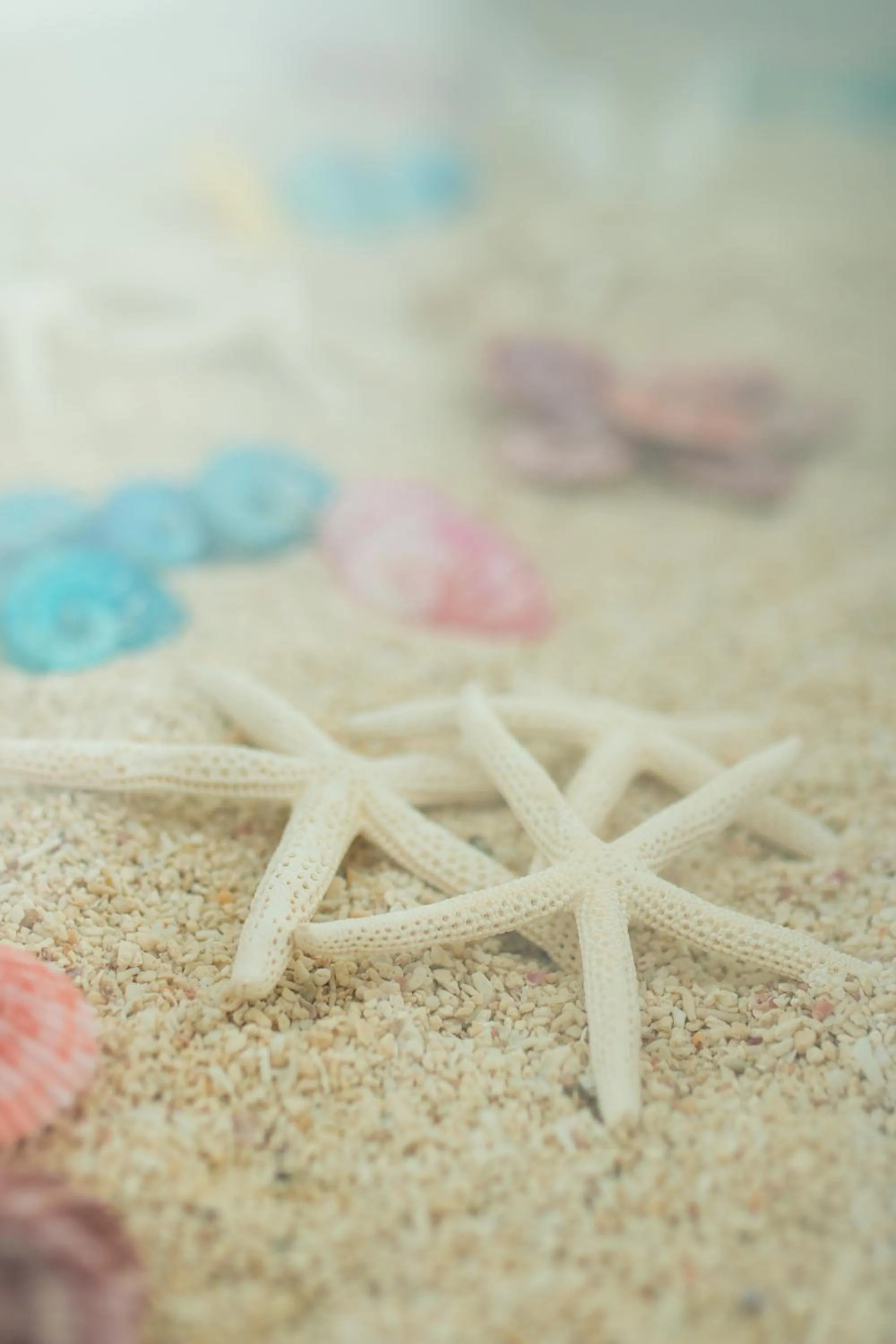 Decorative detail in Jin Pin Hotel