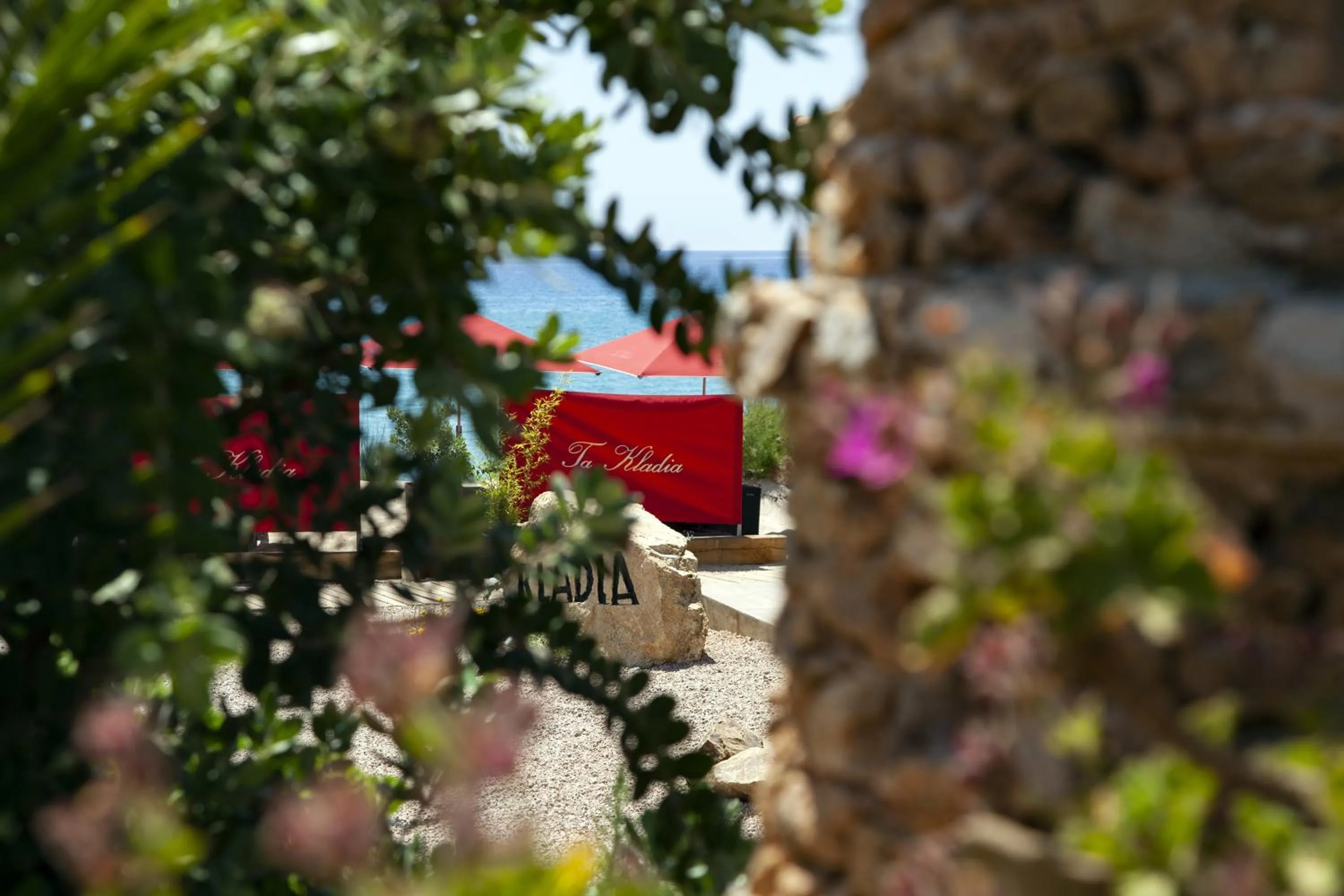 Garden in Hôtel et Résidence Ta Kladia - Omigna