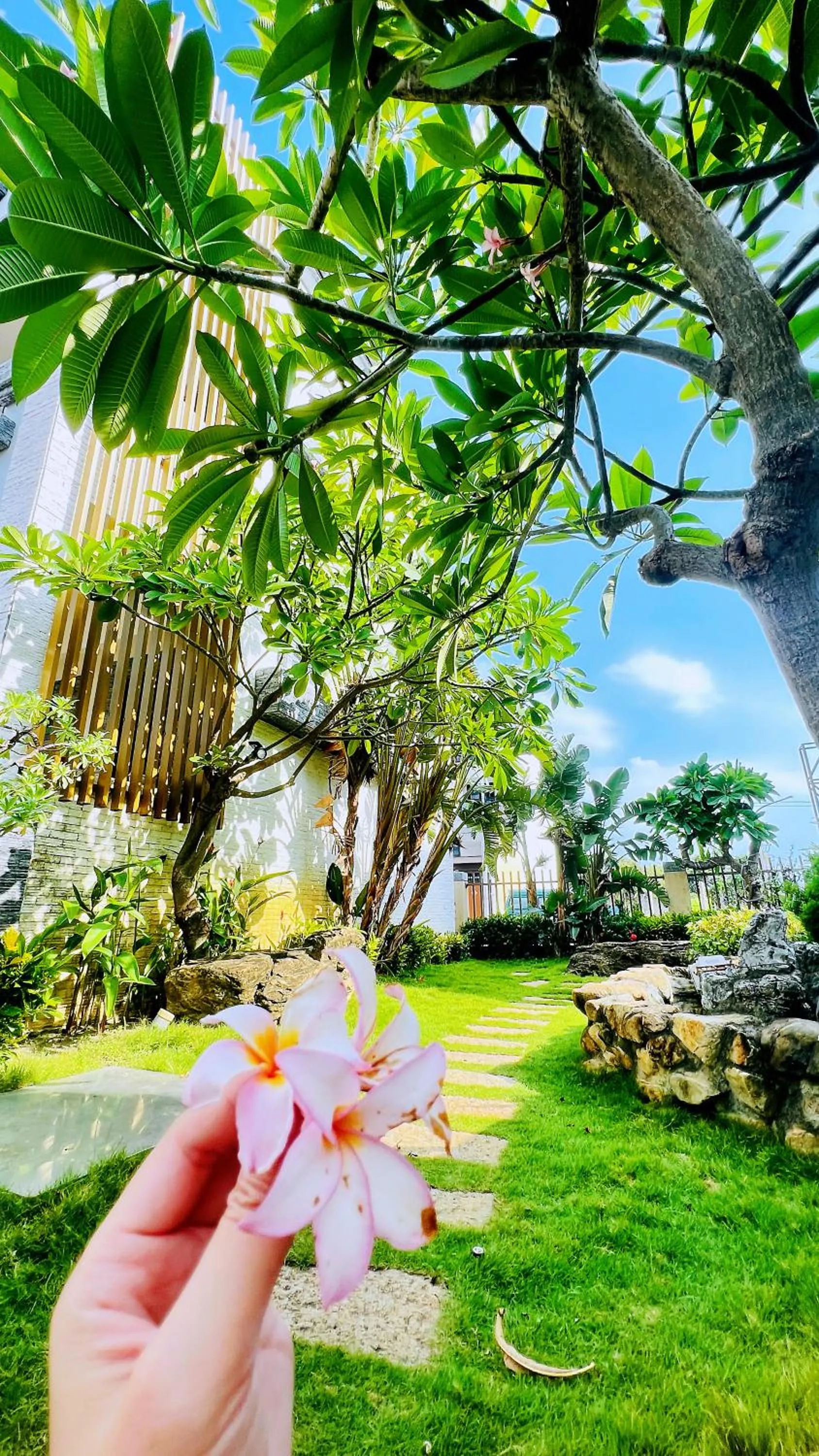 Garden view in Donggang Neptune Hall