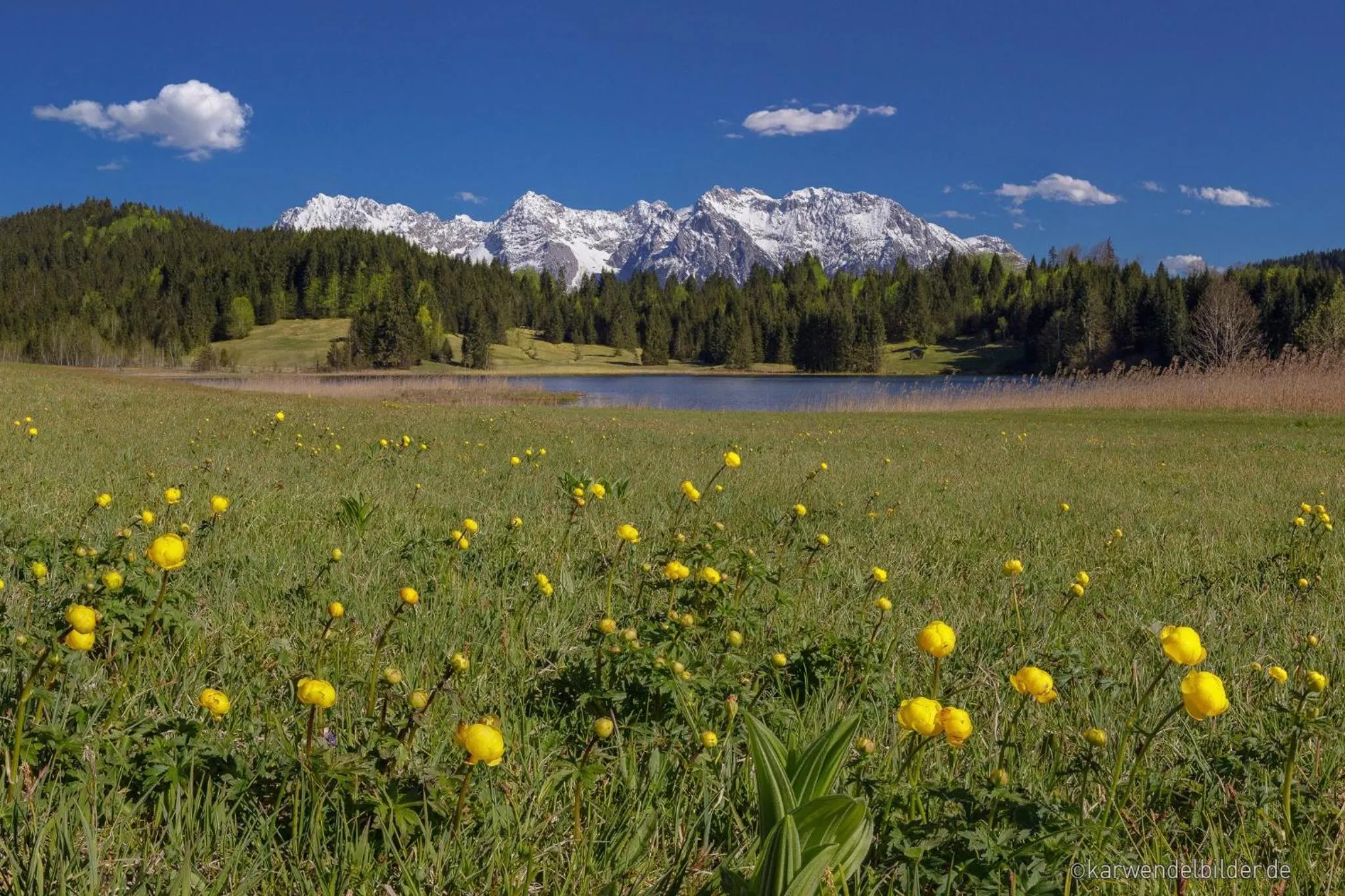 Natural landscape in Ferienhotel Barmsee