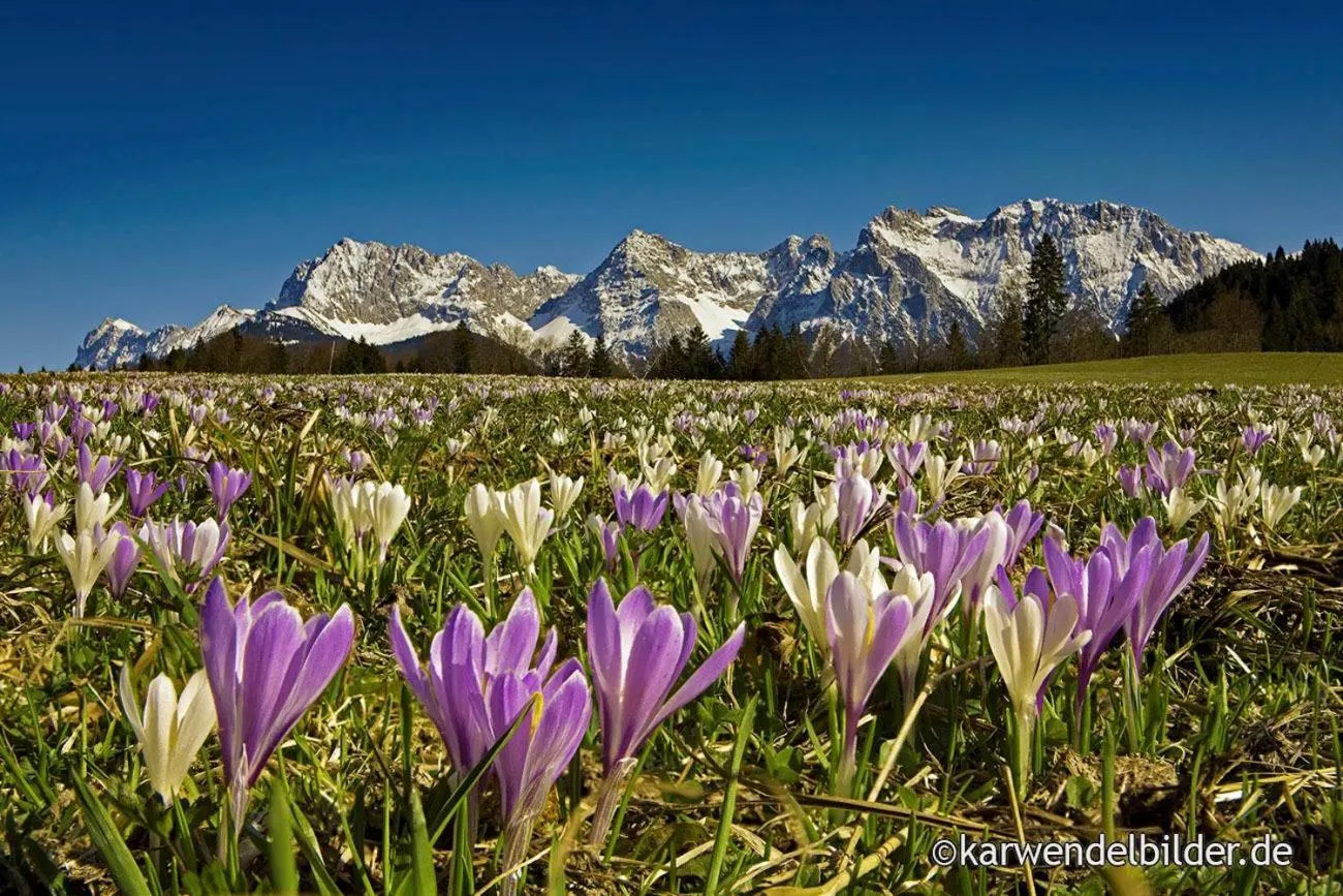 Natural landscape in Ferienhotel Barmsee