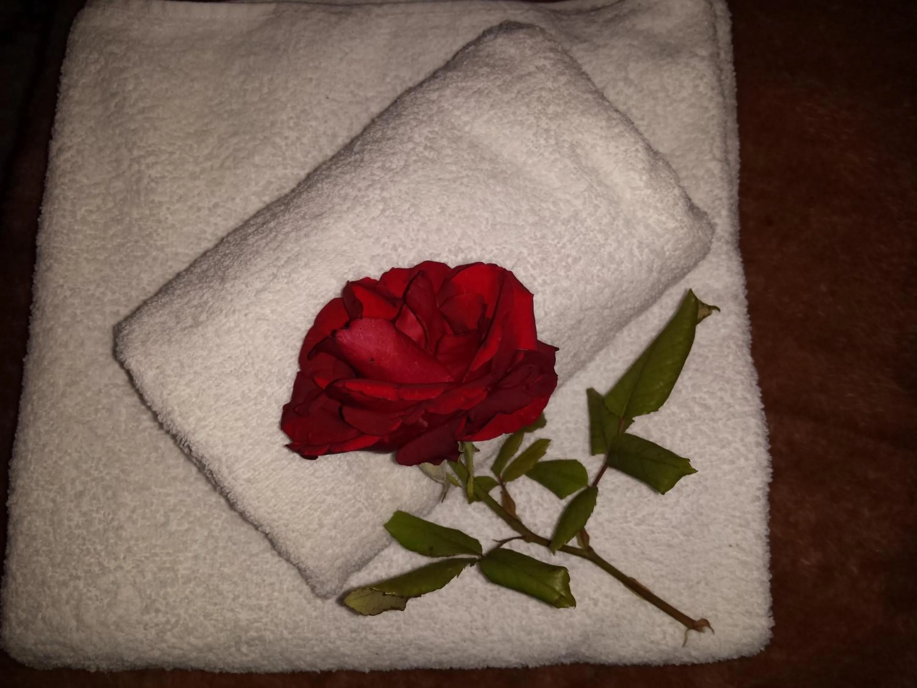 Breakfast in Riad Tazawa