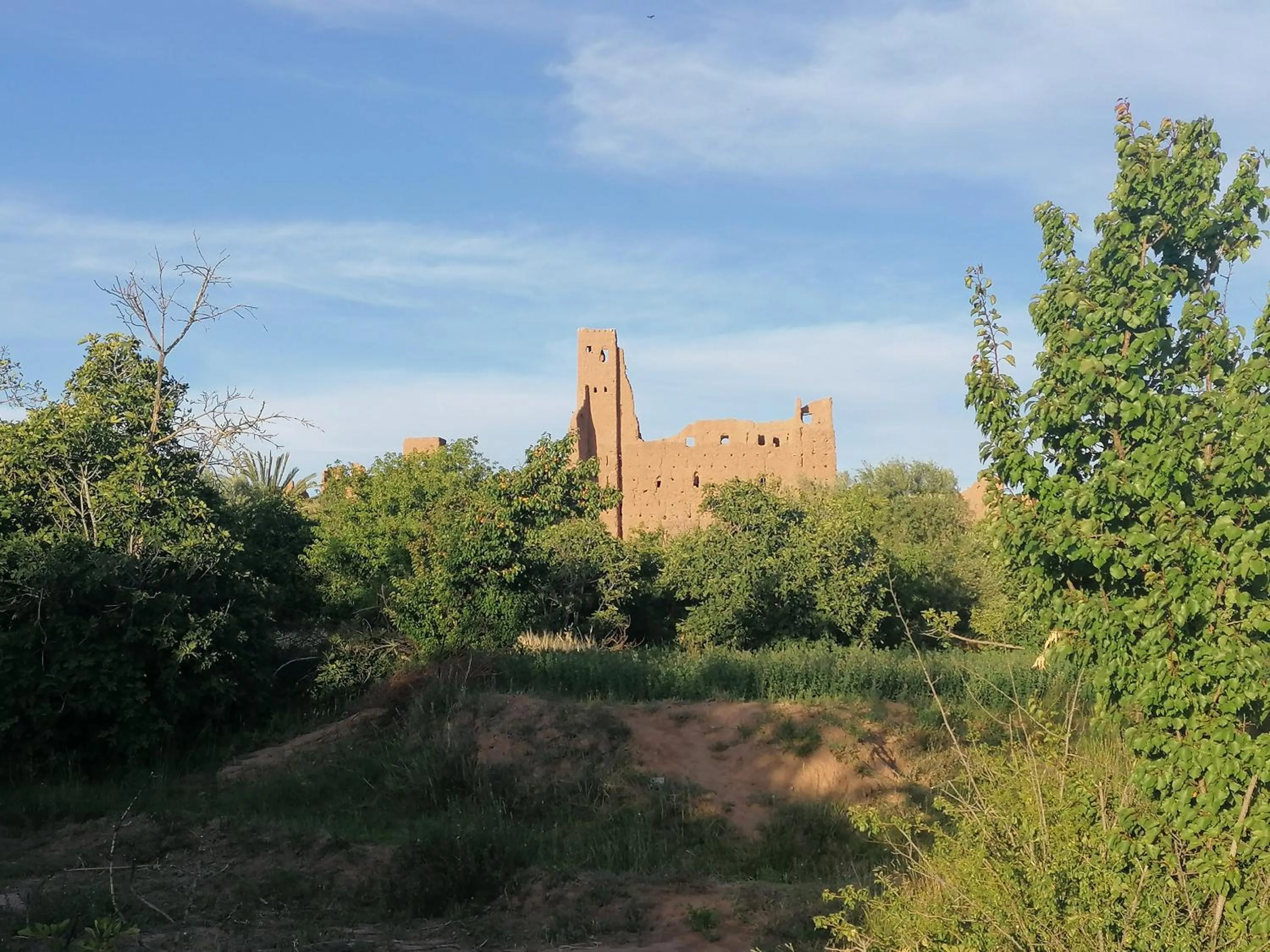 Activities in Riad Tazawa