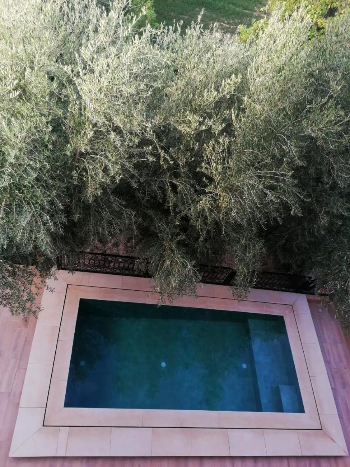 Swimming pool in Riad Tazawa