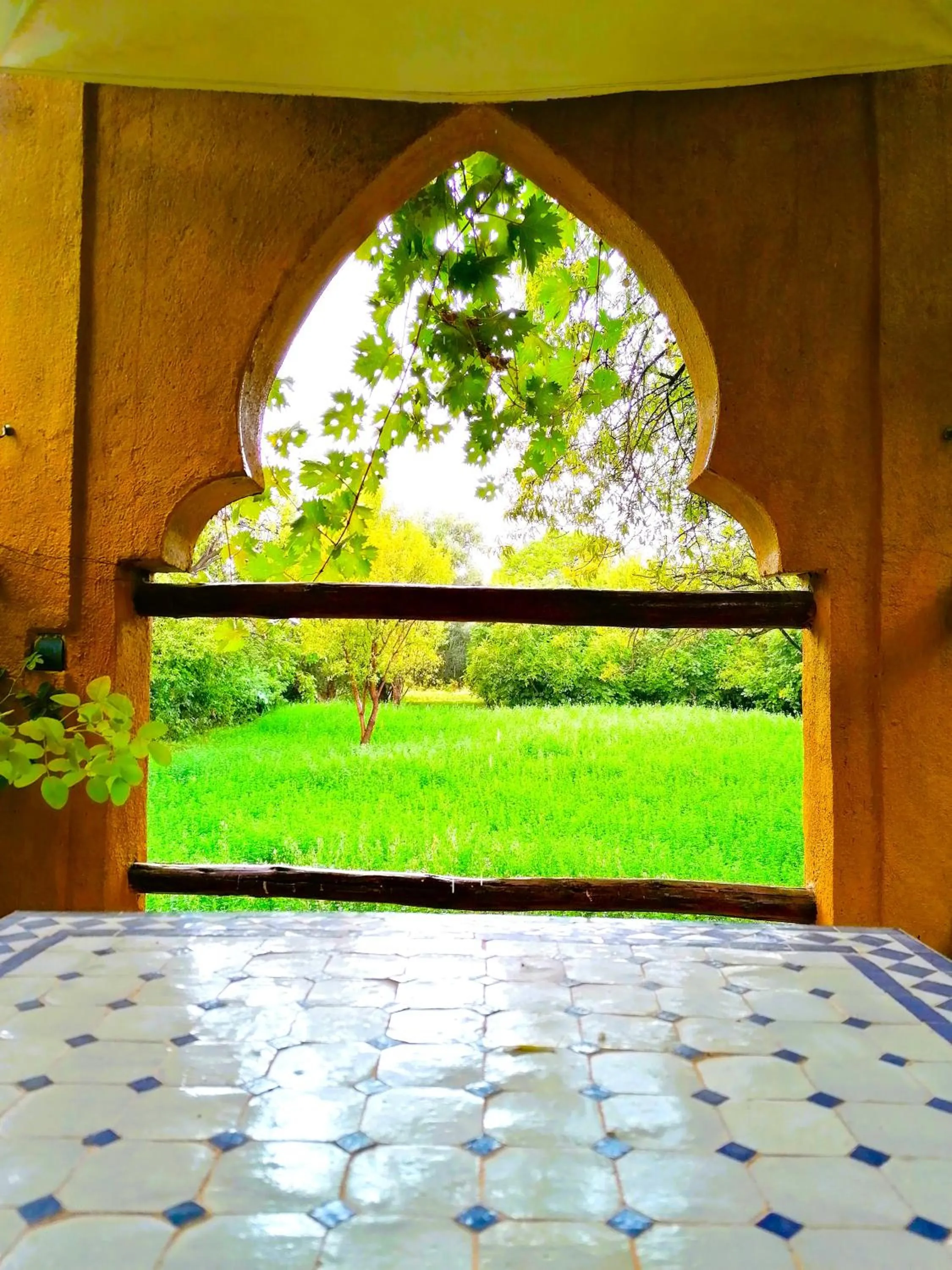 Activities in Riad Tazawa