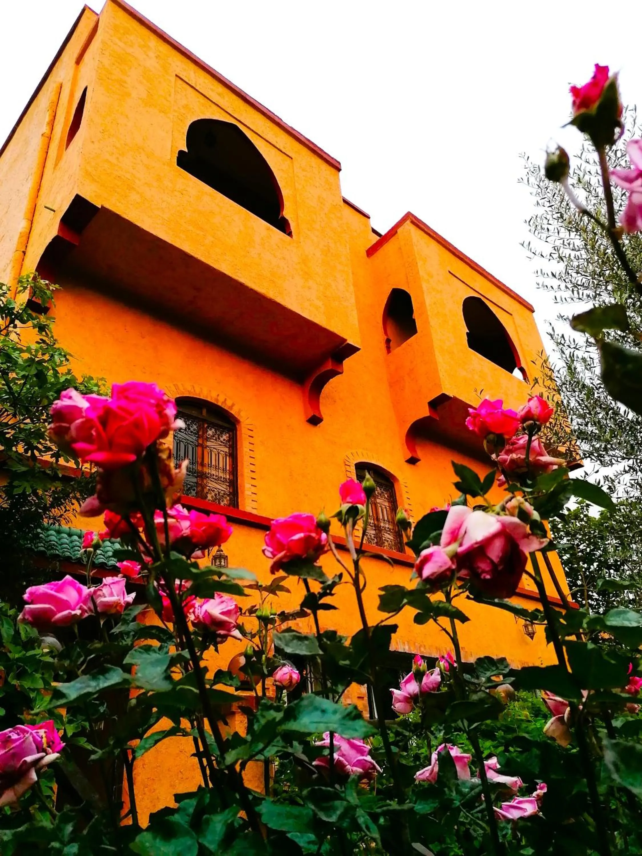 Facade/entrance in Riad Tazawa