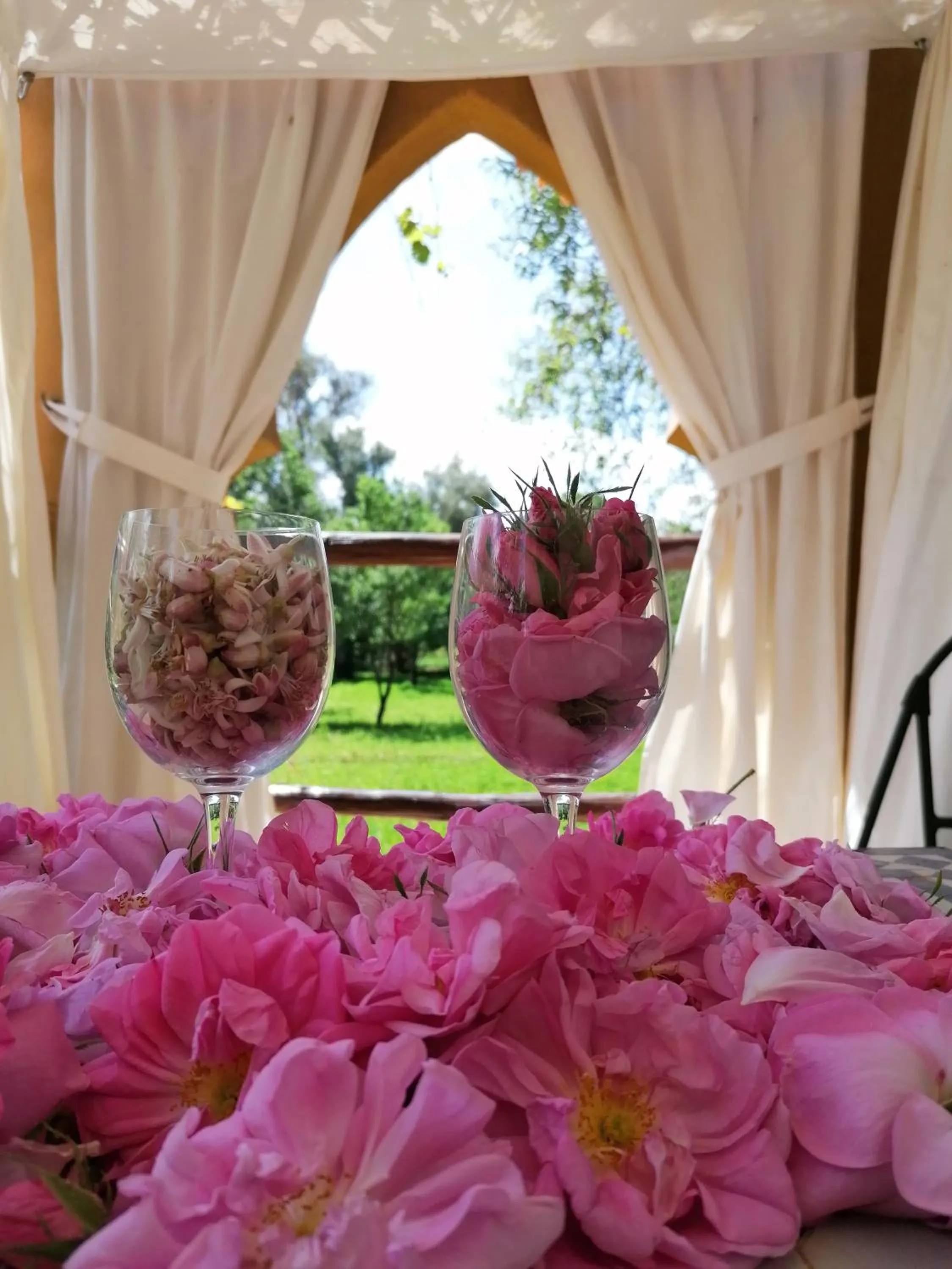 Garden in Riad Tazawa