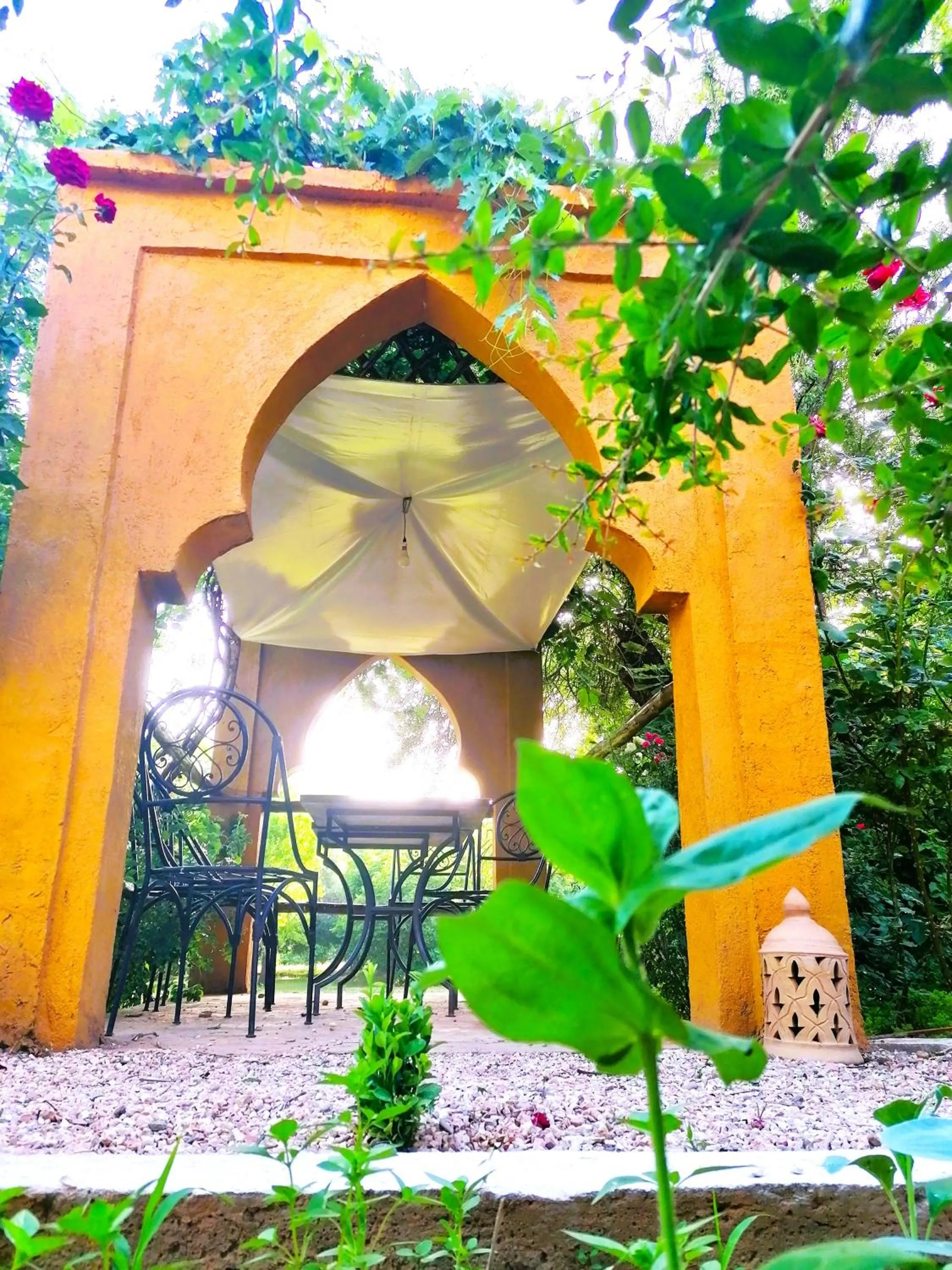 Garden in Riad Tazawa