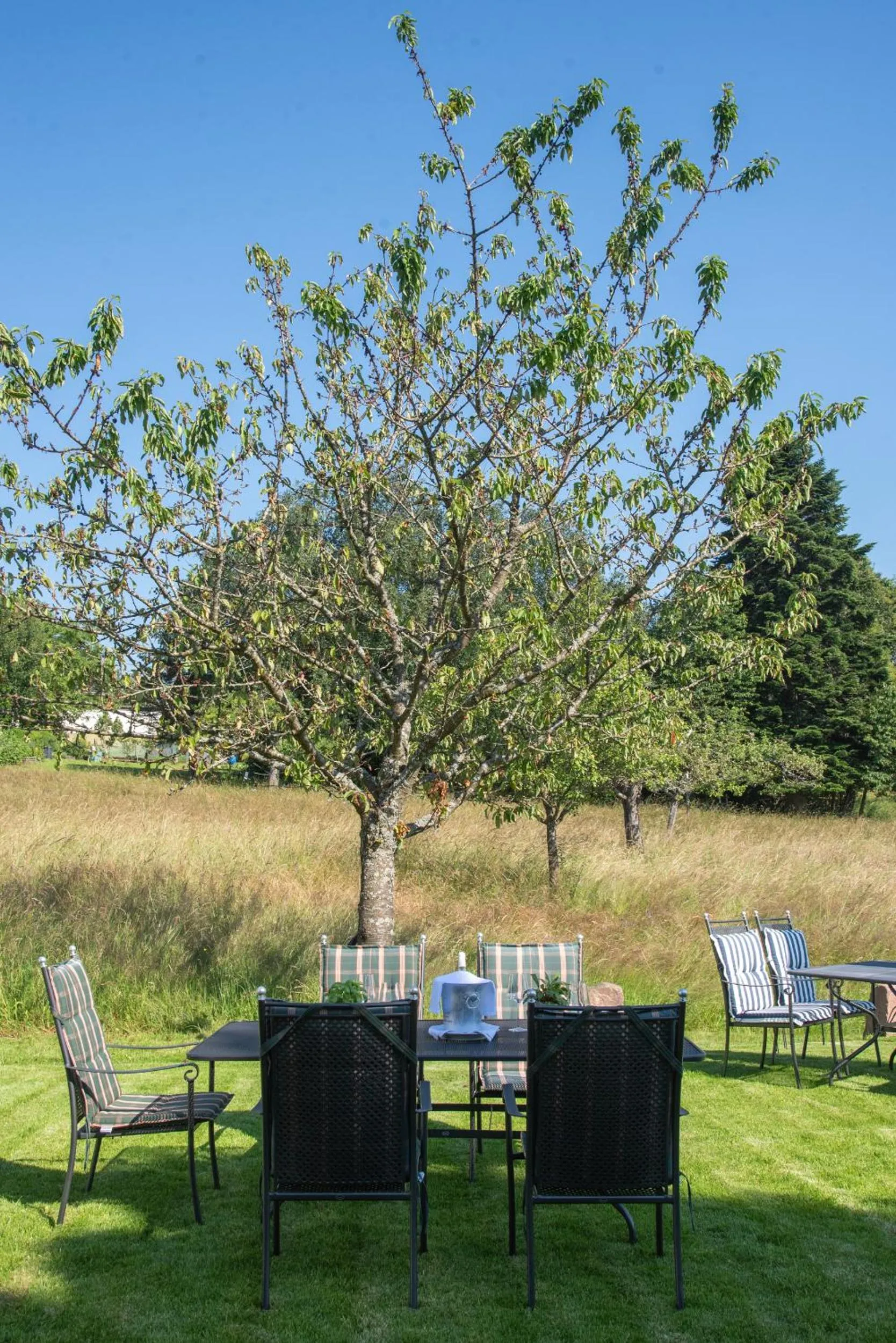 Natural landscape in Hotel Restaurant Vinothek LAMM