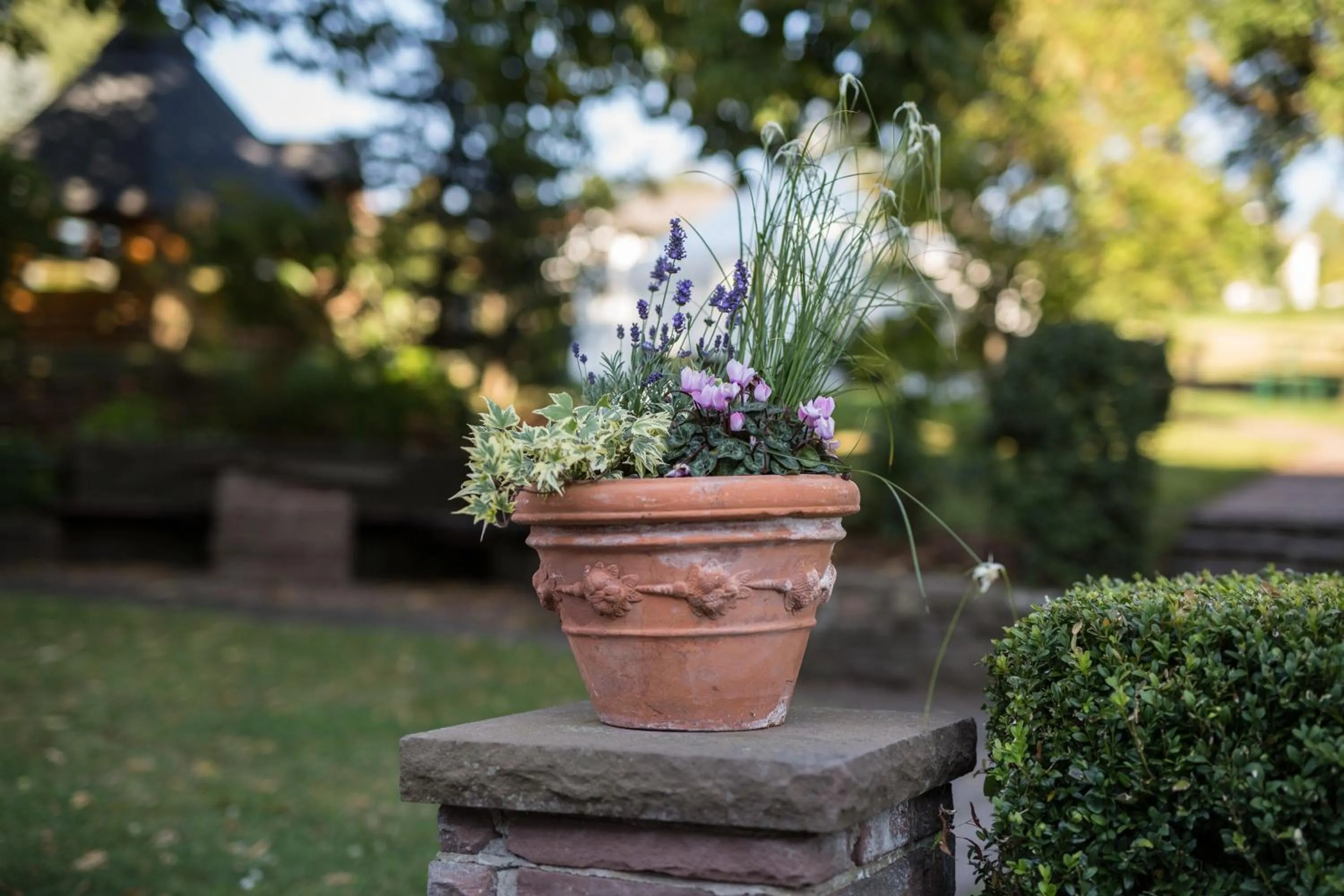 Garden in Hotel Restaurant Vinothek LAMM