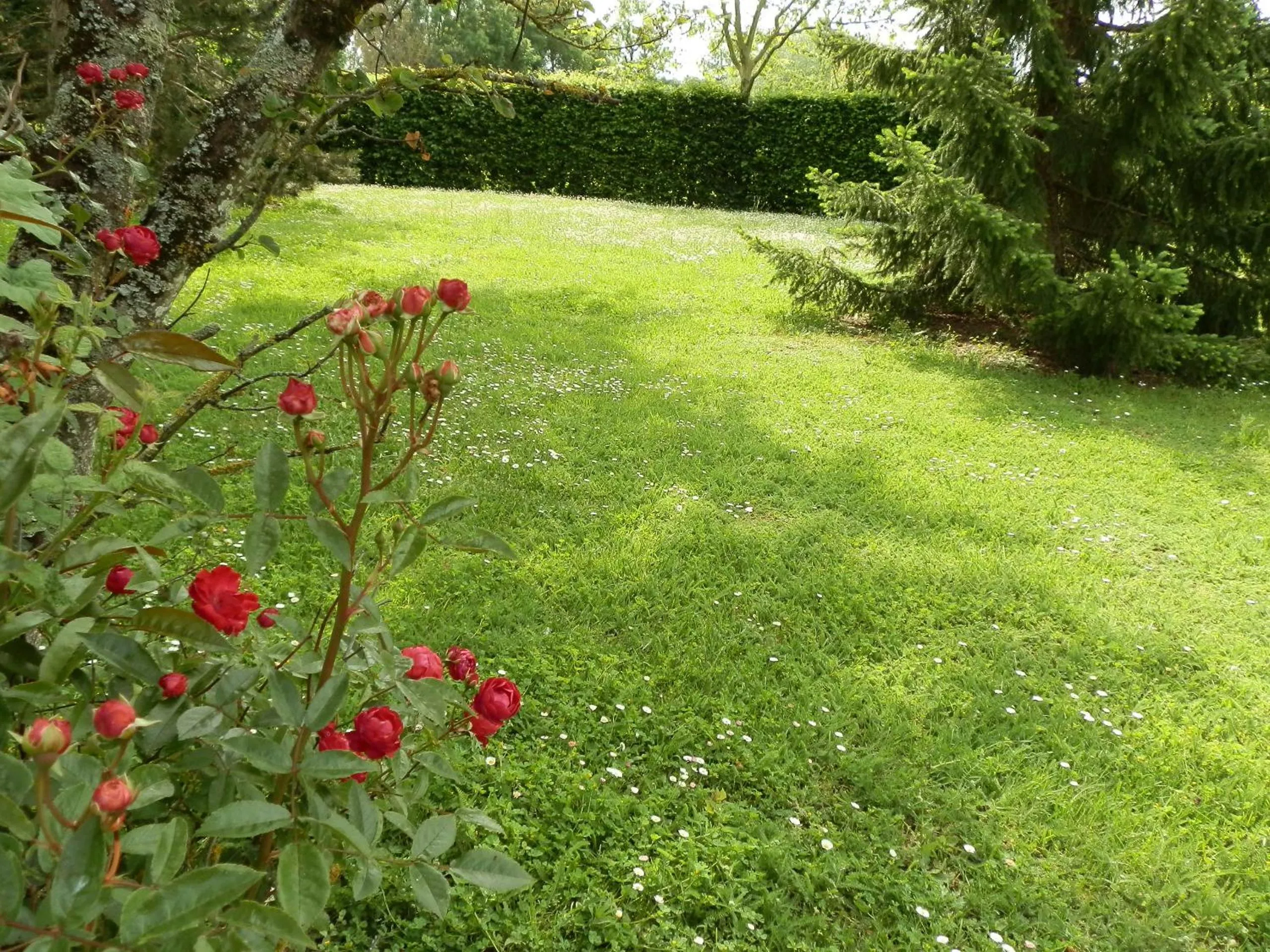 Garden in Domaine De Meigne