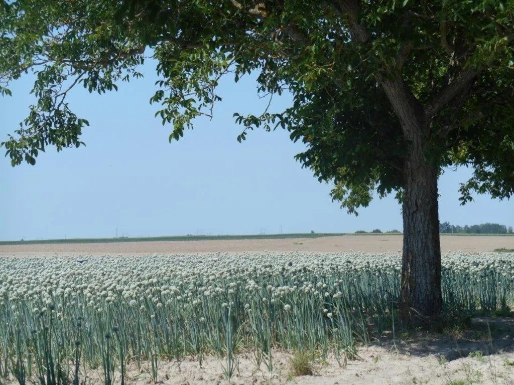 Nearby landmark in Domaine De Meigne