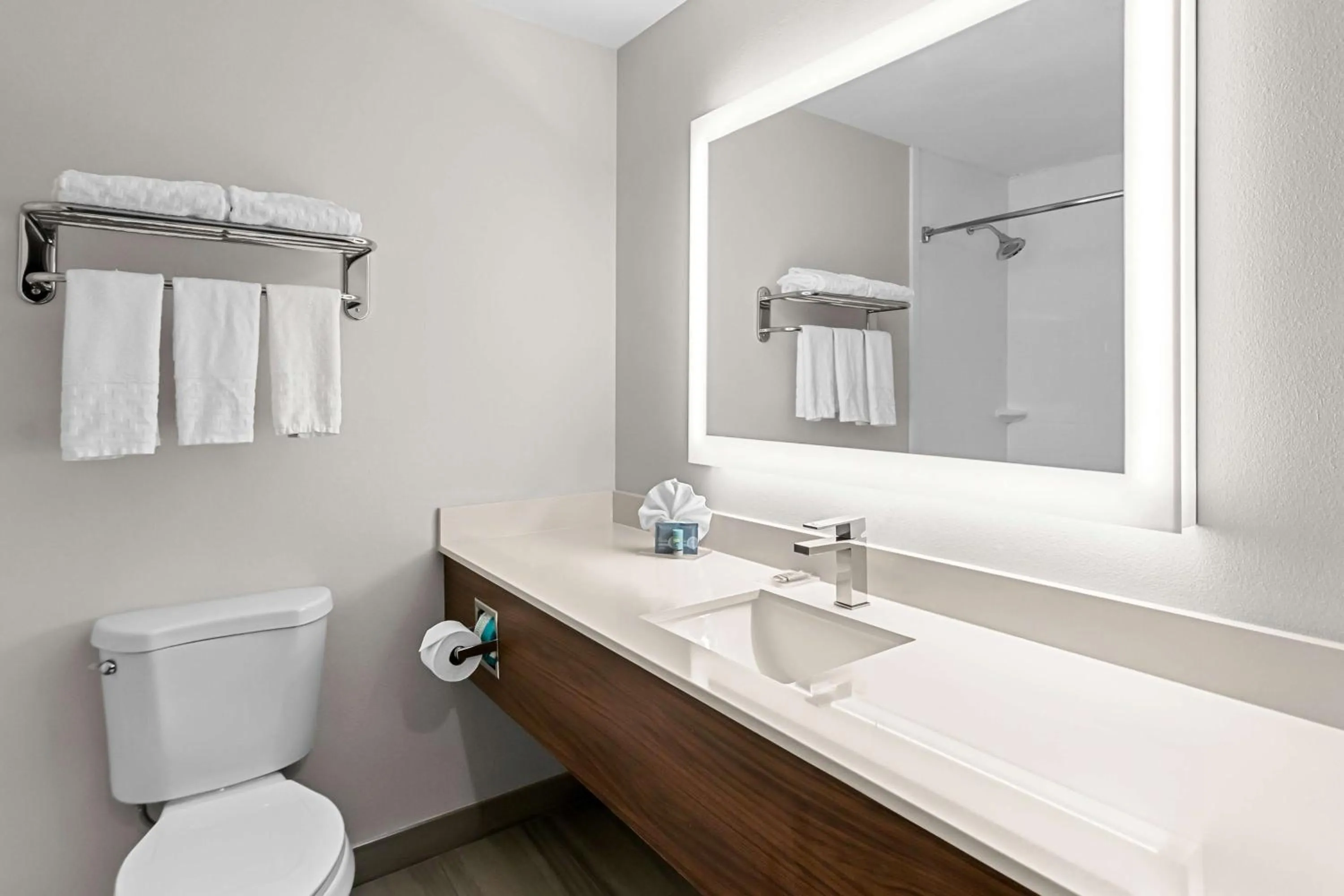 Bathroom in Best Western Niceville - Eglin AFB Hotel