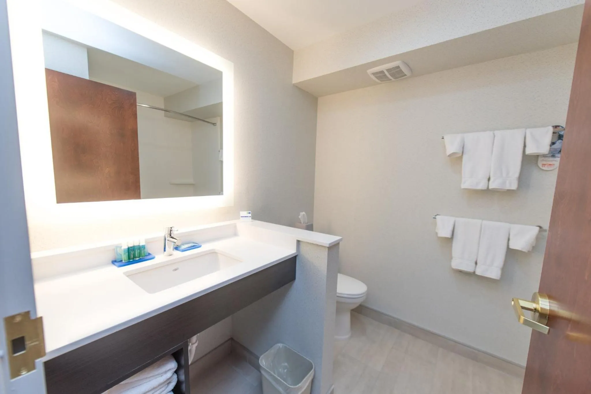 Bathroom in Holiday Inn Express Hotel & Suites Erie an IHG Hotel