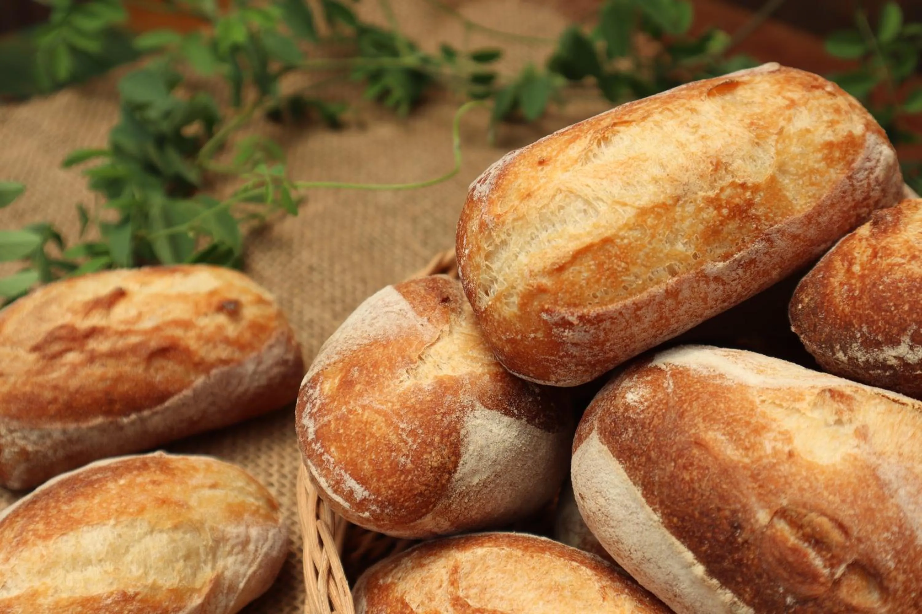 Restaurant/places to eat in SILA Urban Living