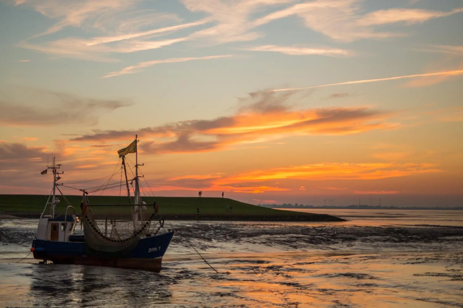 Natural landscape in Hotel Graf Bentinck