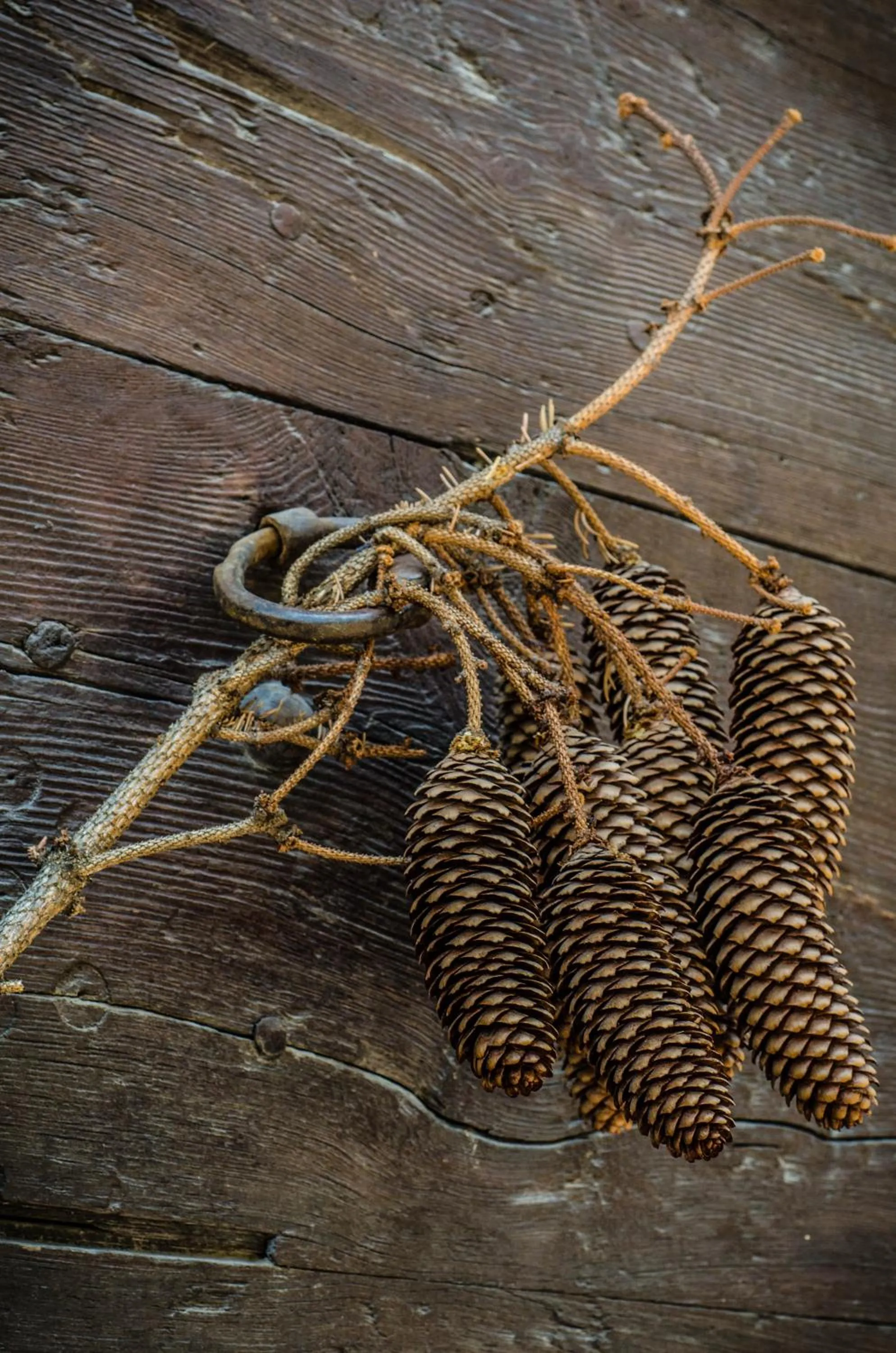 Decorative detail in Hotel Chez Toi