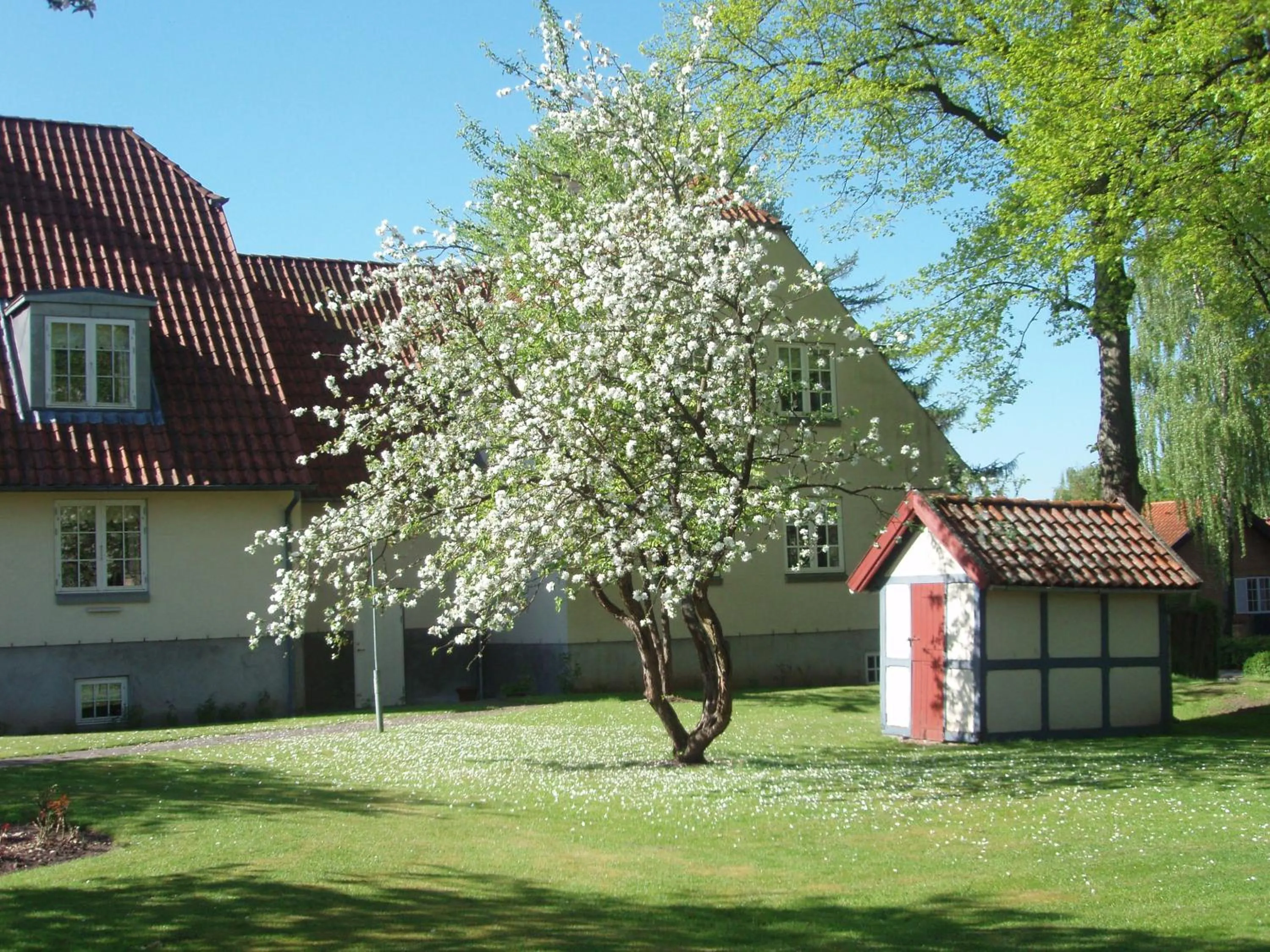 Garden in Hotel Knudsens Gaard