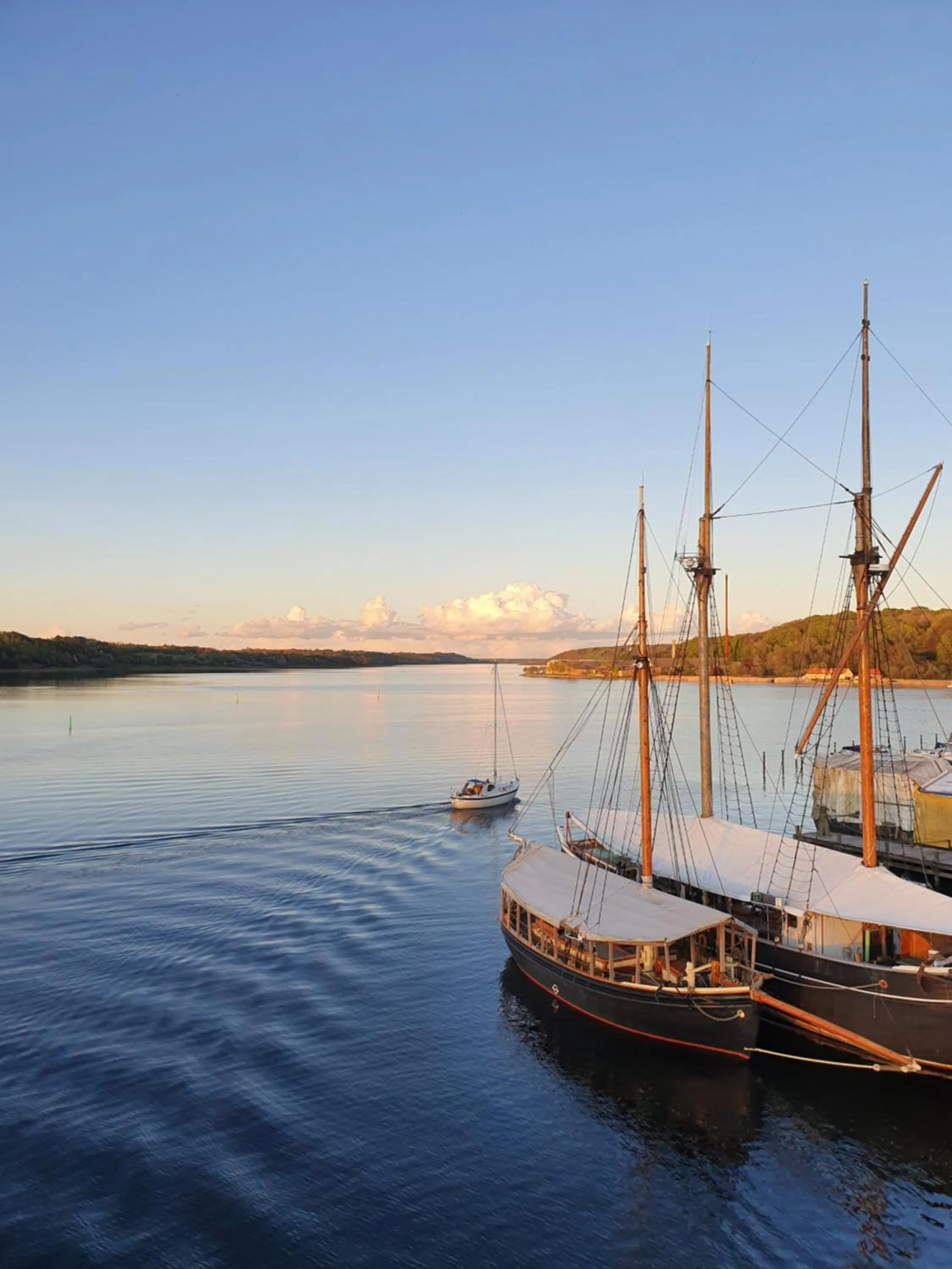 Natural landscape in Hotel Amerika