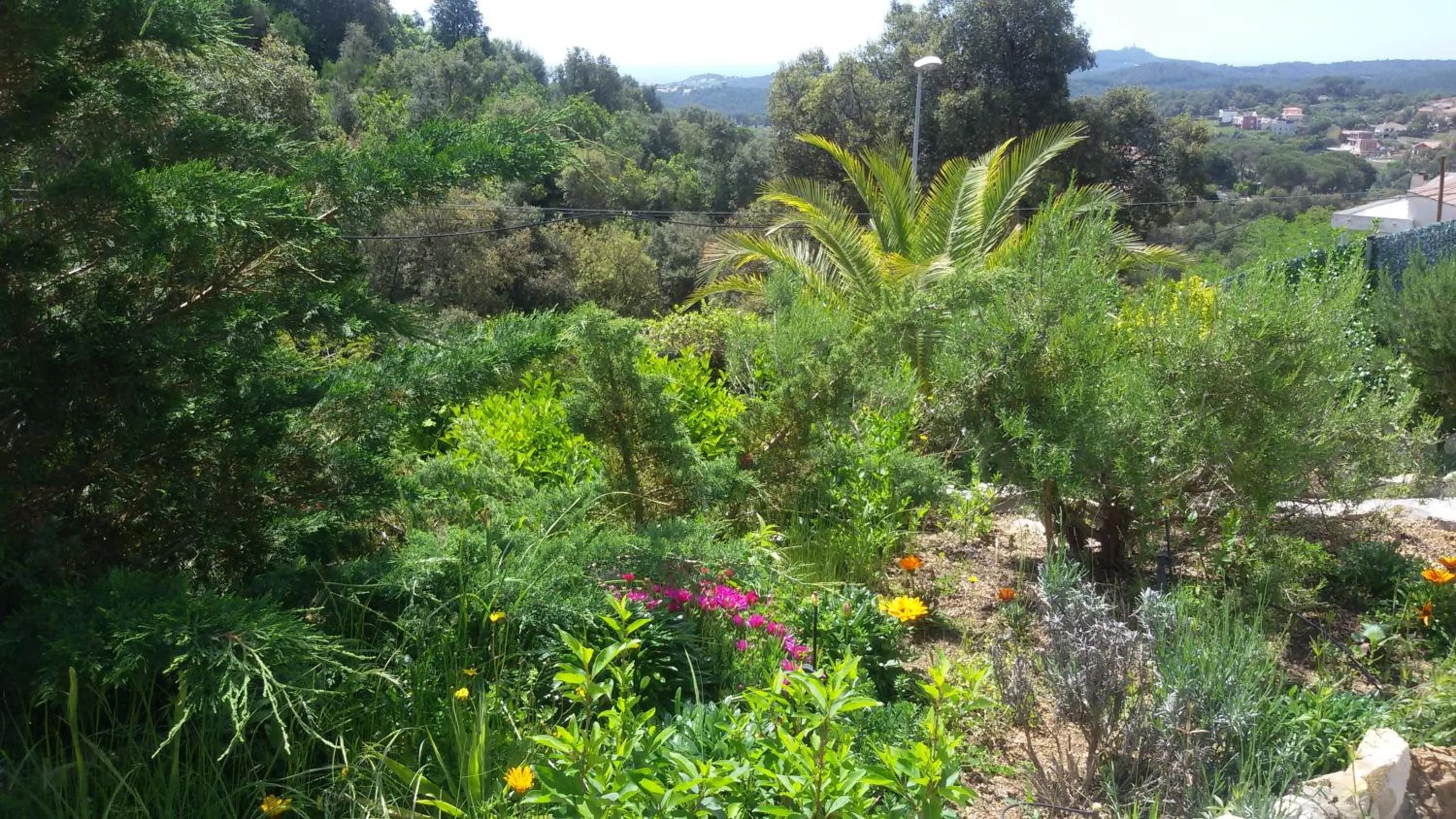 Property building in Holiday Home Cardona