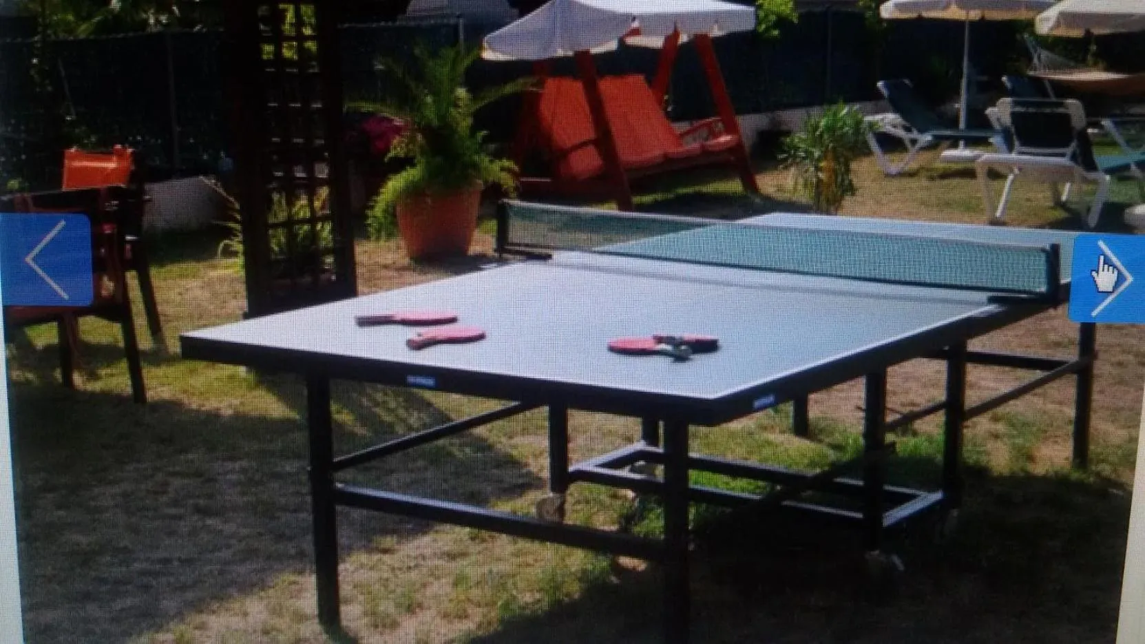 Table tennis in Holiday Home Cardona