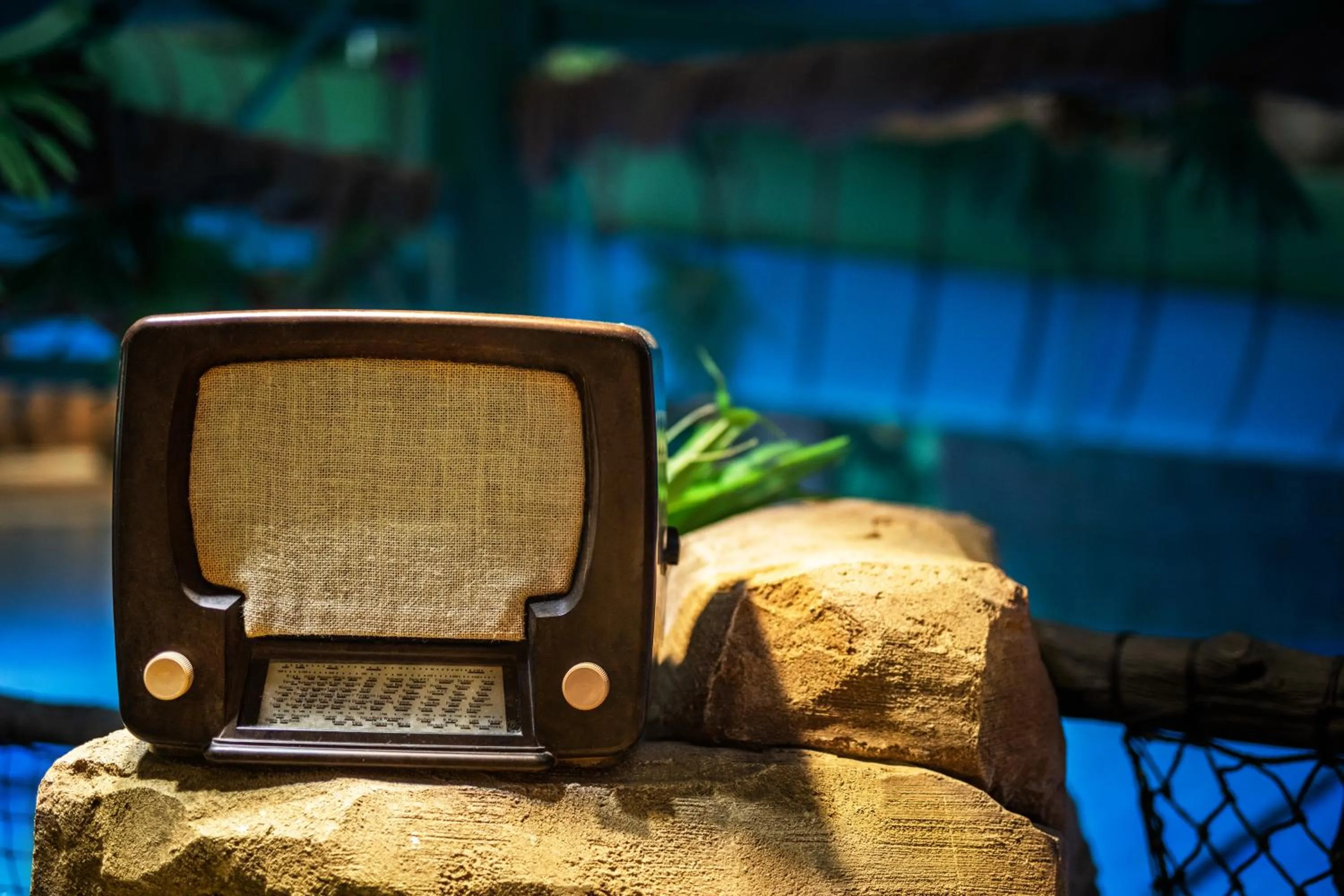 Swimming pool in Quality Hotel The Reef