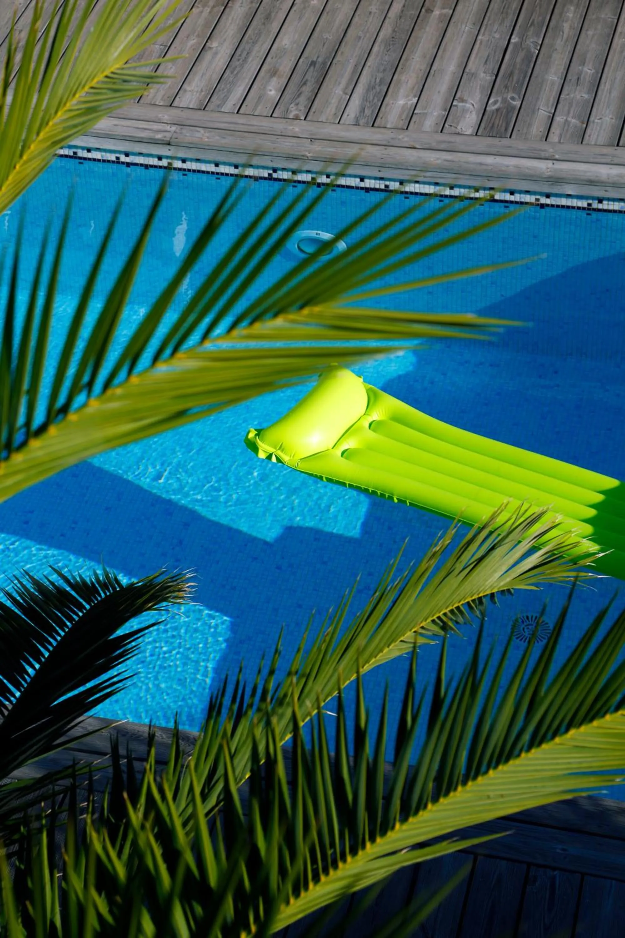 Patio in Côte et Dune