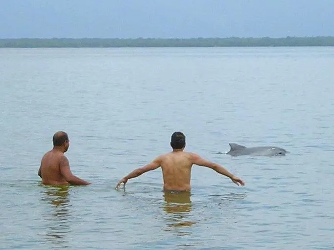 Off site in Hotel Marazul