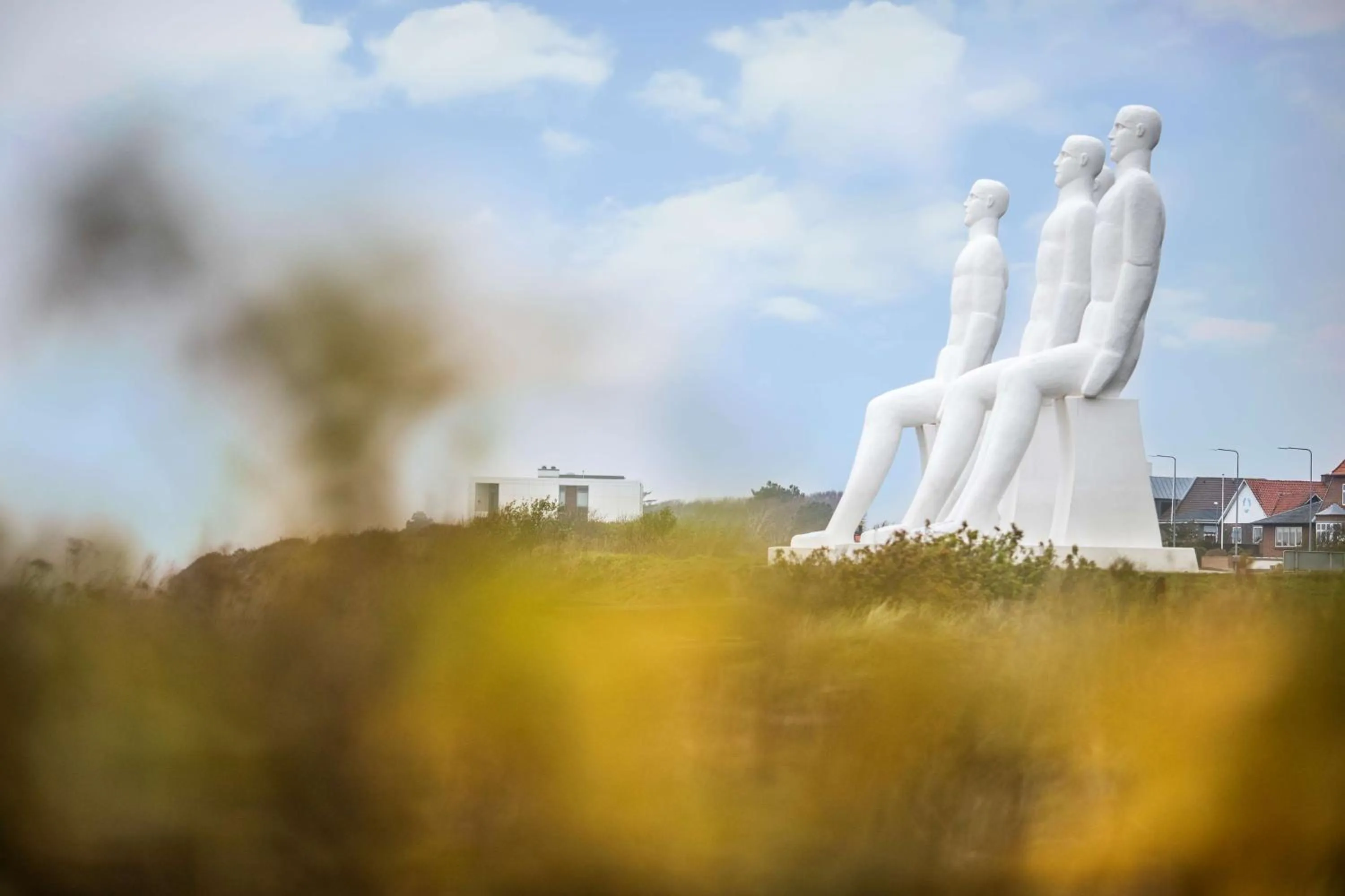 Natural landscape in Scandic Olympic