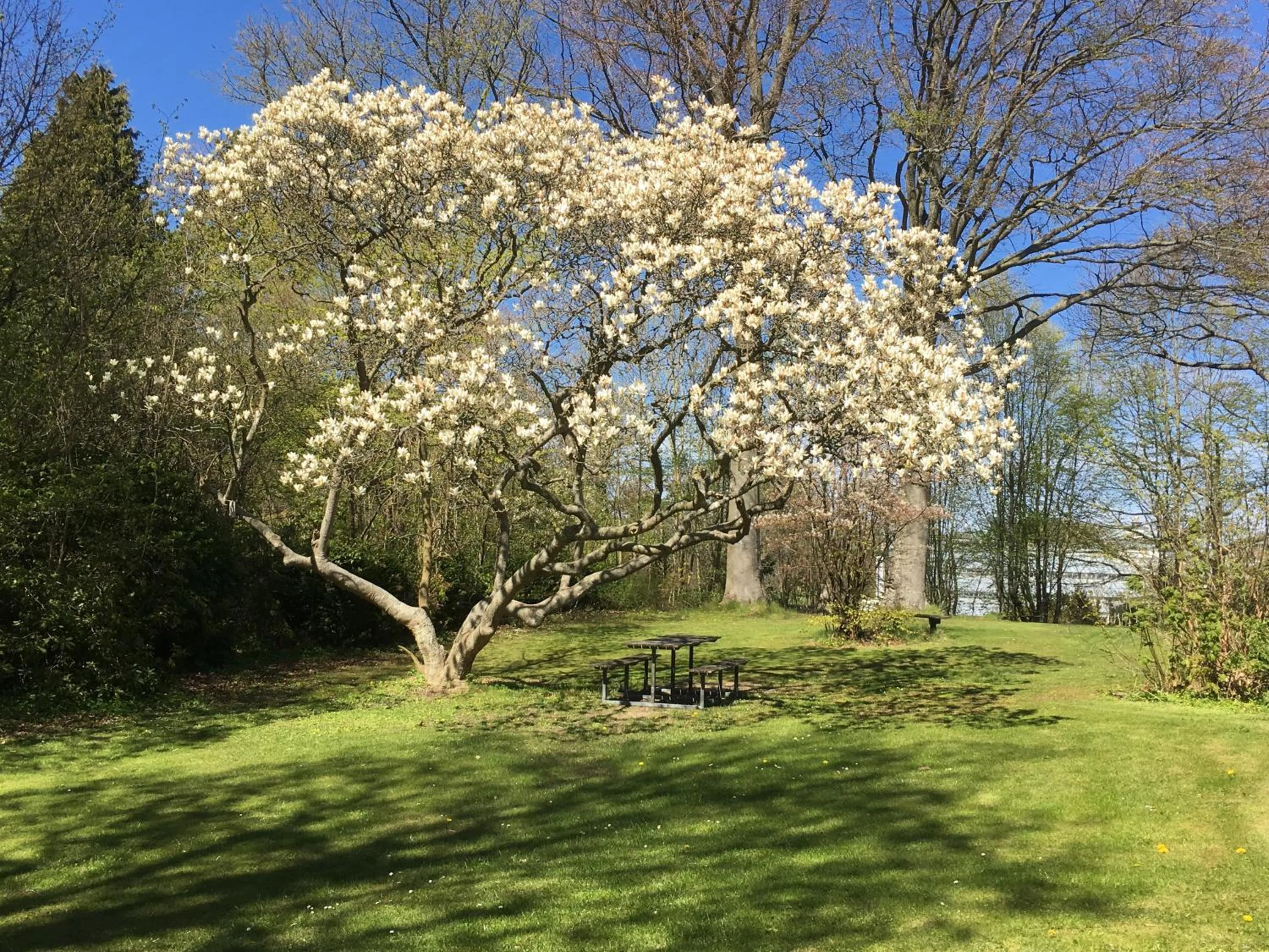 Garden in Fredensborg Vandrerhjem, i Kongens baghave