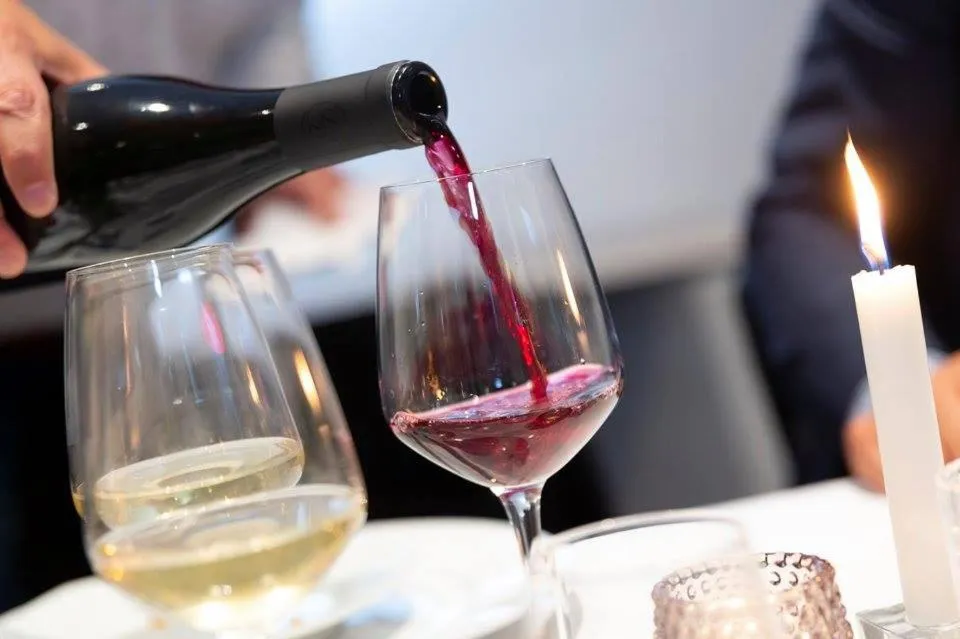 Dolphin Hotel Herning