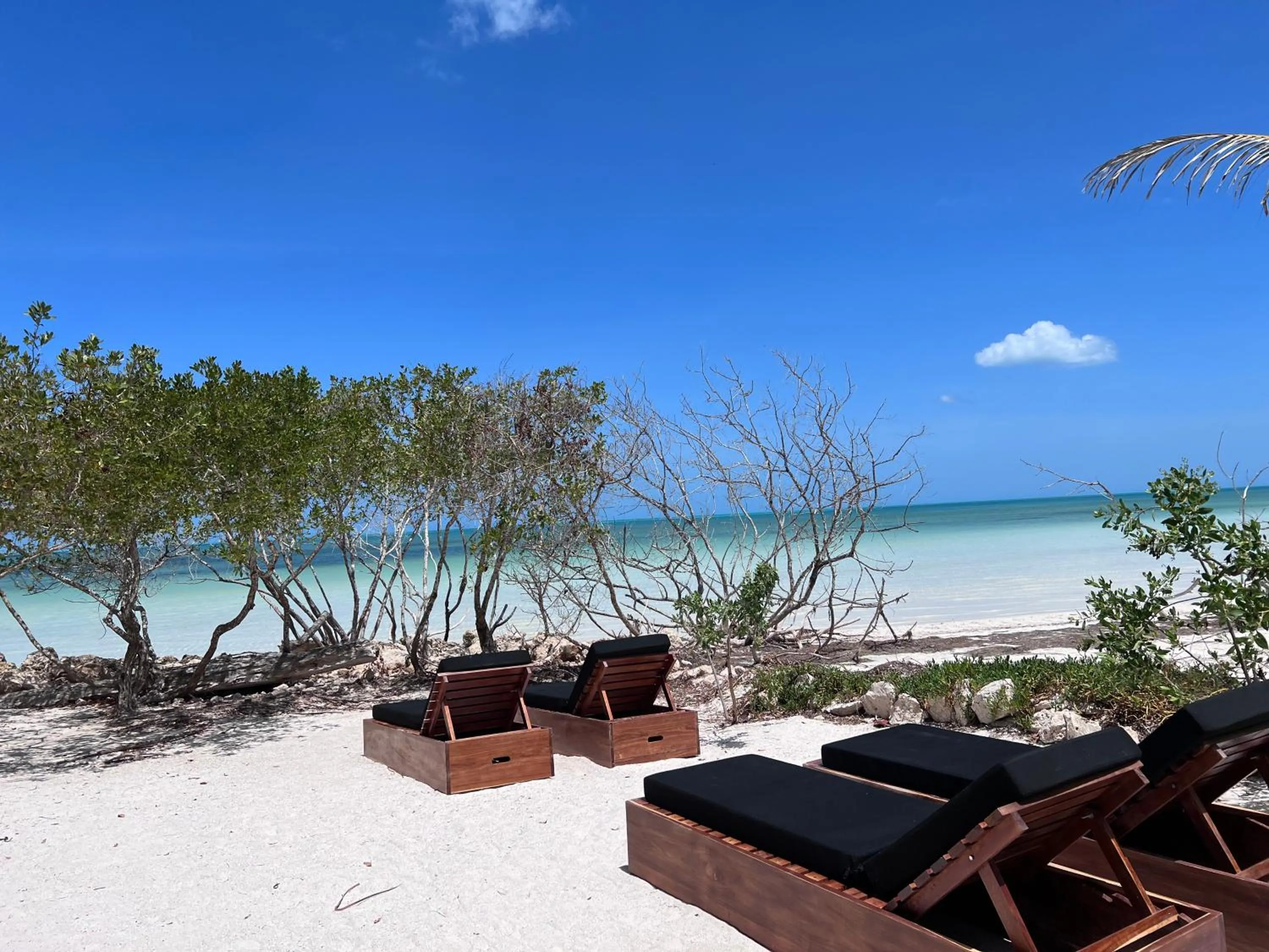 Beach in Casa Punta Coco & Beach Club