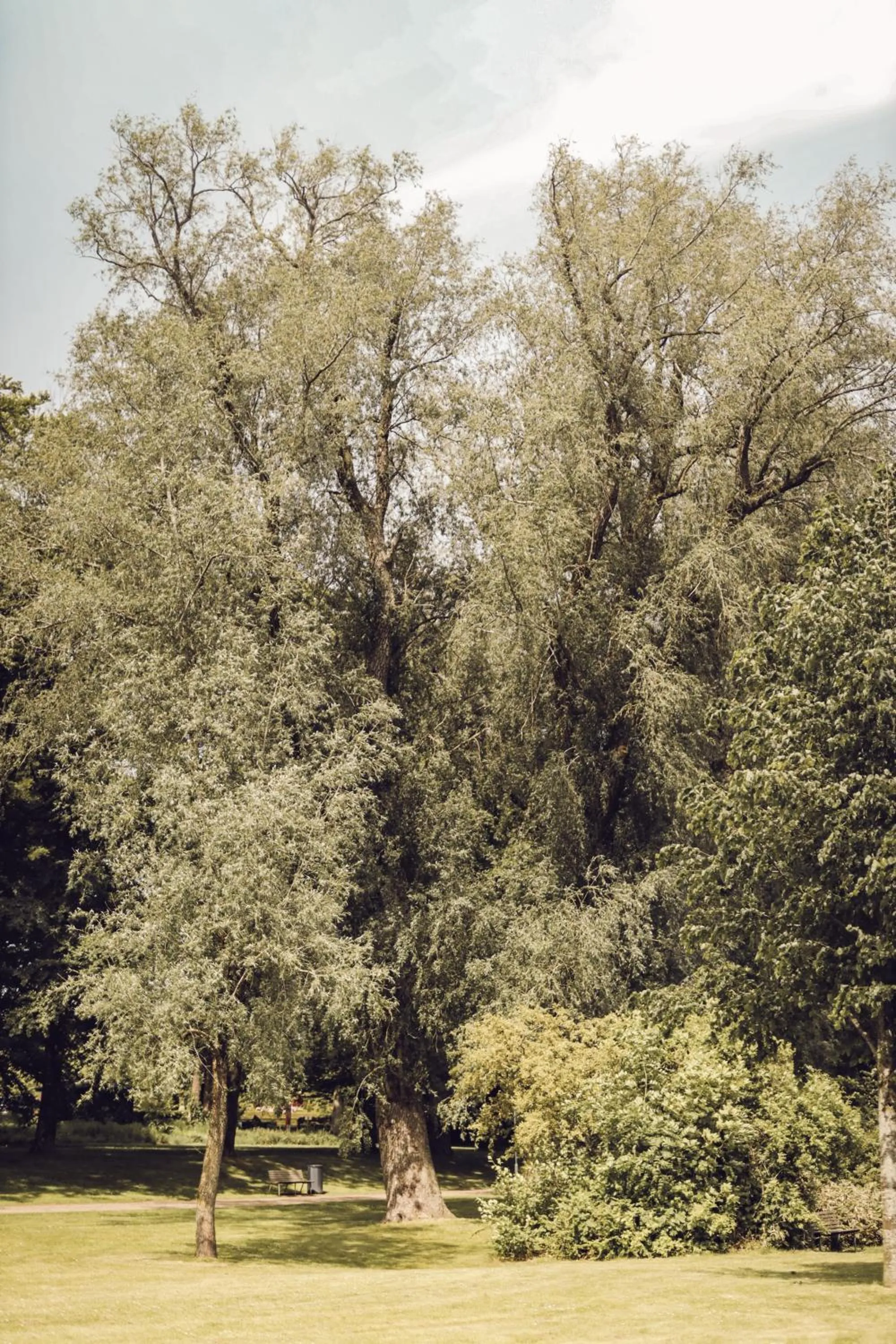 View (from property/room) in Arnbjerg Pavillonen