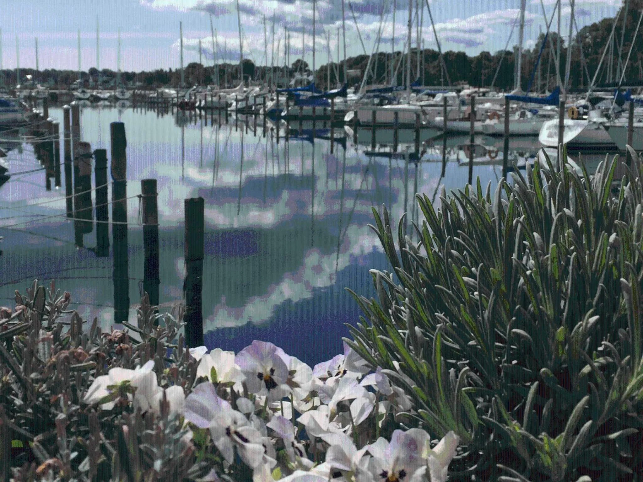 Neighbourhood in Rungstedgaard