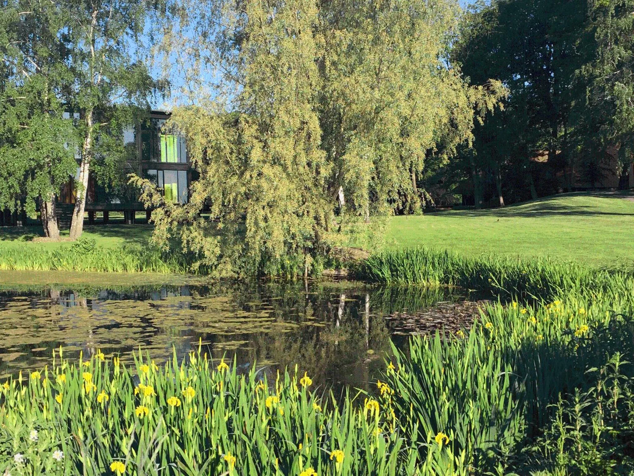 Property building in Rungstedgaard