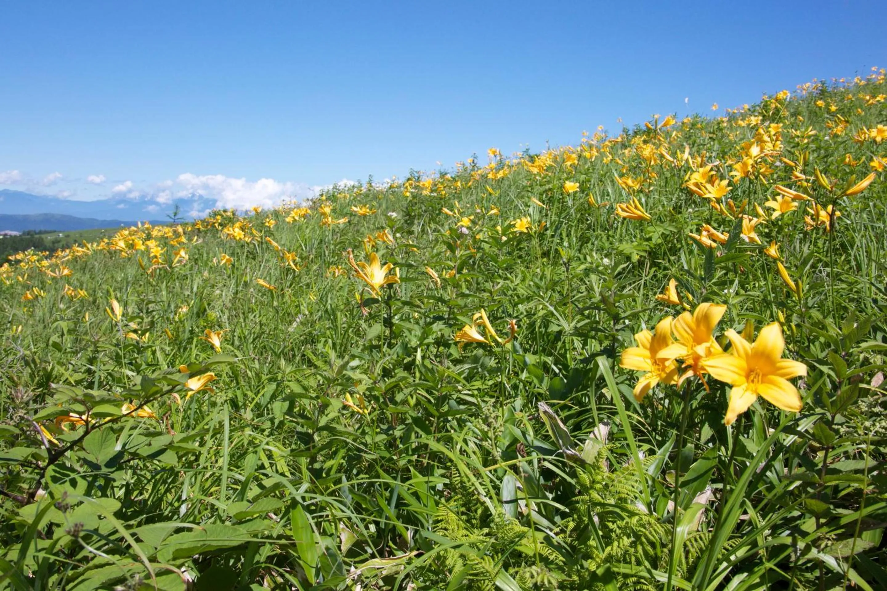 Other in Hotel Andermatt