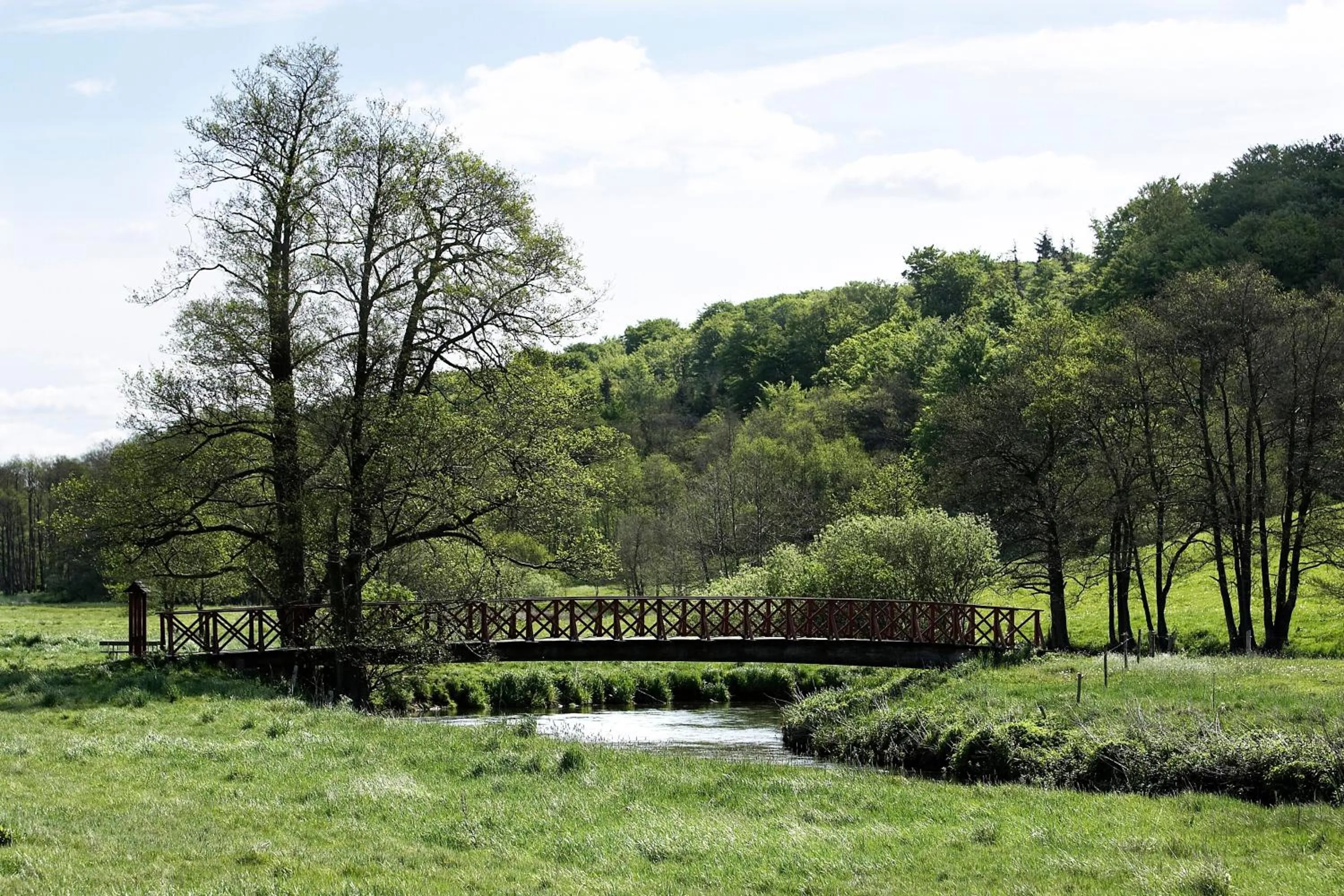 Natural landscape in Haraldskær Sinatur Hotel & Konference