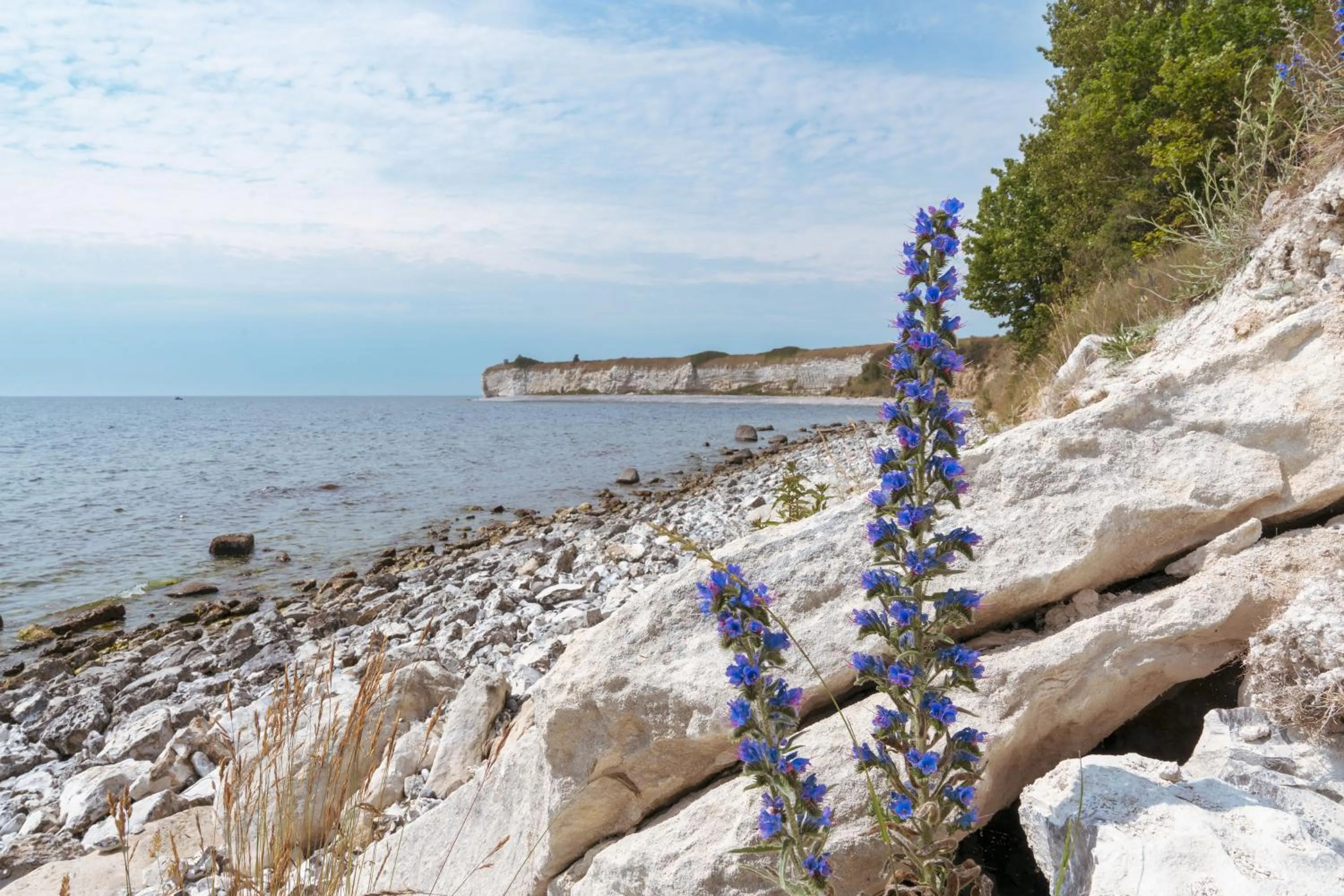 Natural landscape in Rødvig Kro og Badehotel