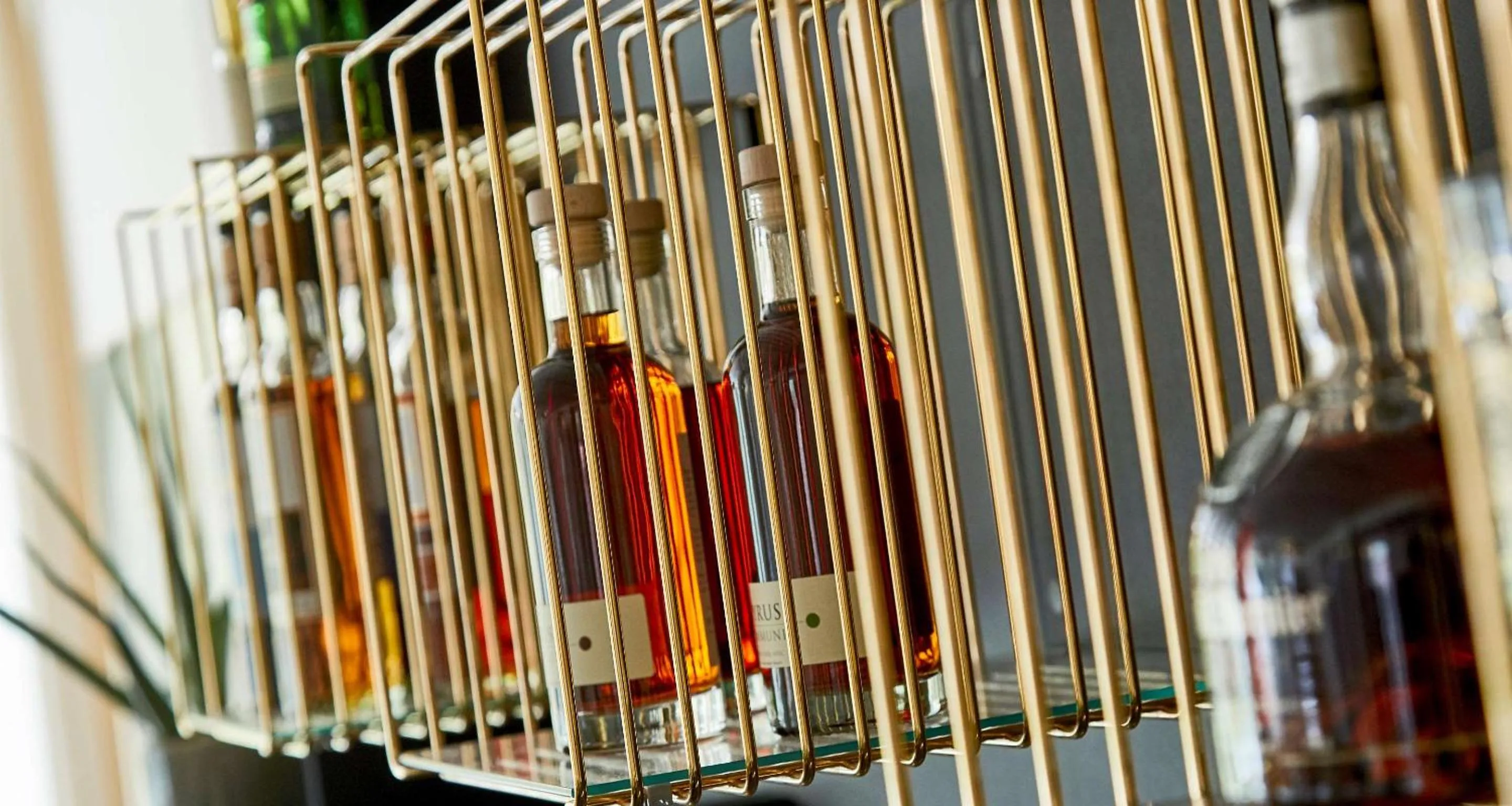 Lounge or bar in Gl Skovridergaard