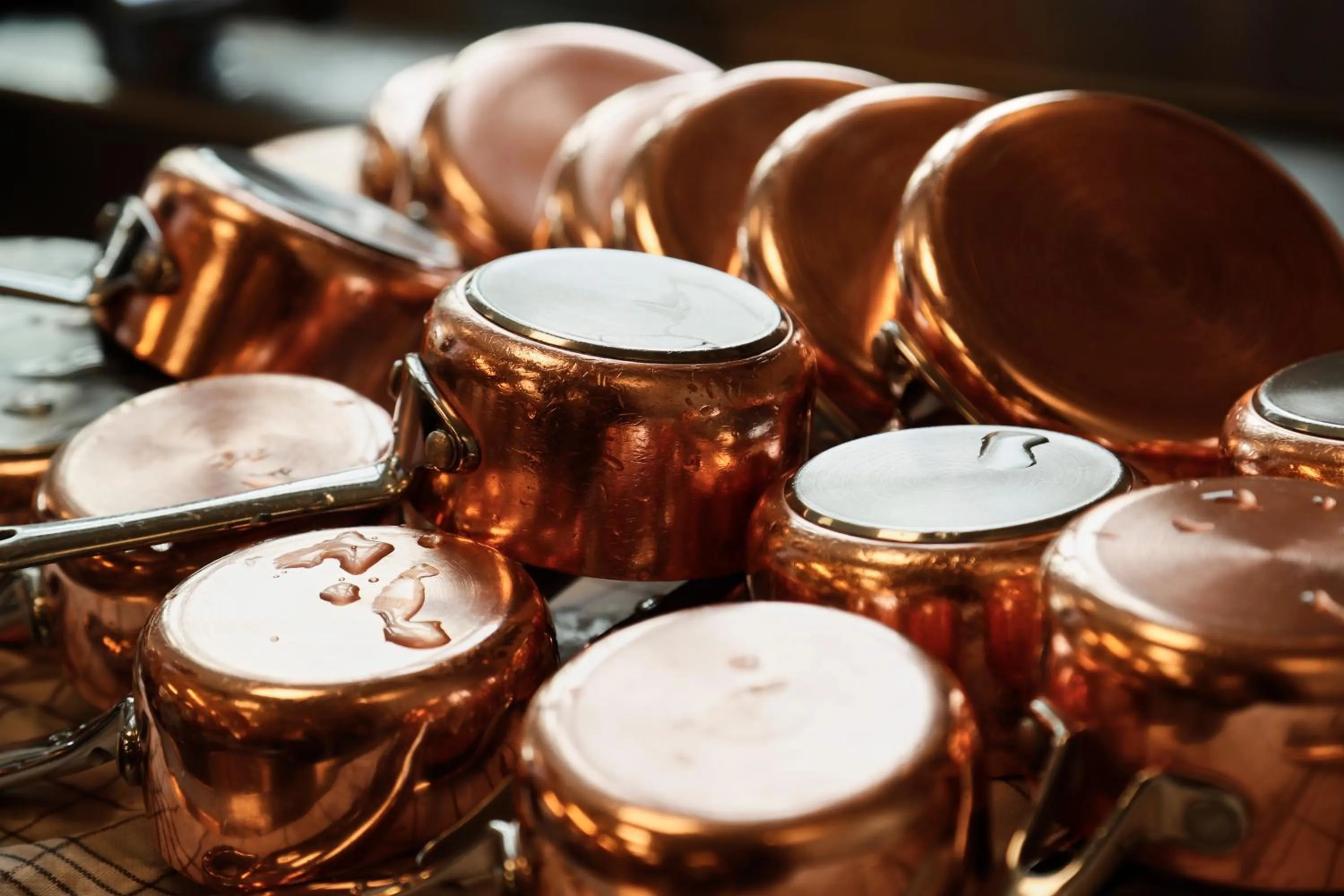 Food and drinks in Gl Skovridergaard