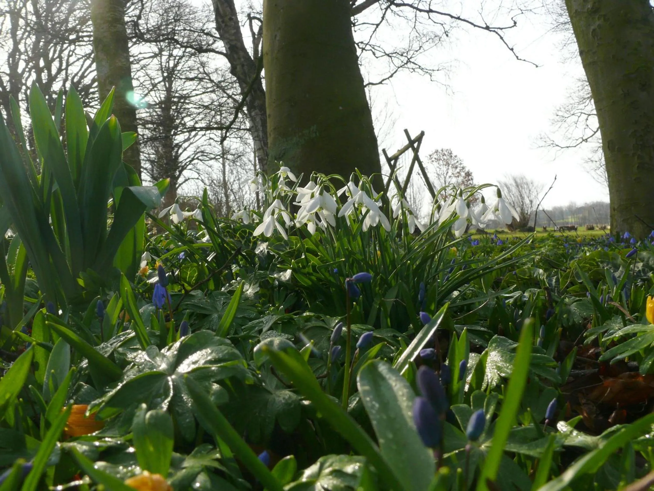 Garden view in Tiendegaarden Møns Klint