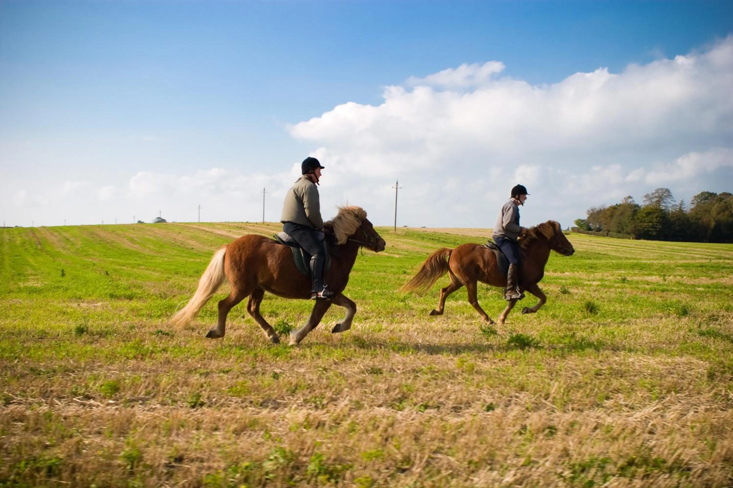 Hiking in Tiendegaarden Møns Klint