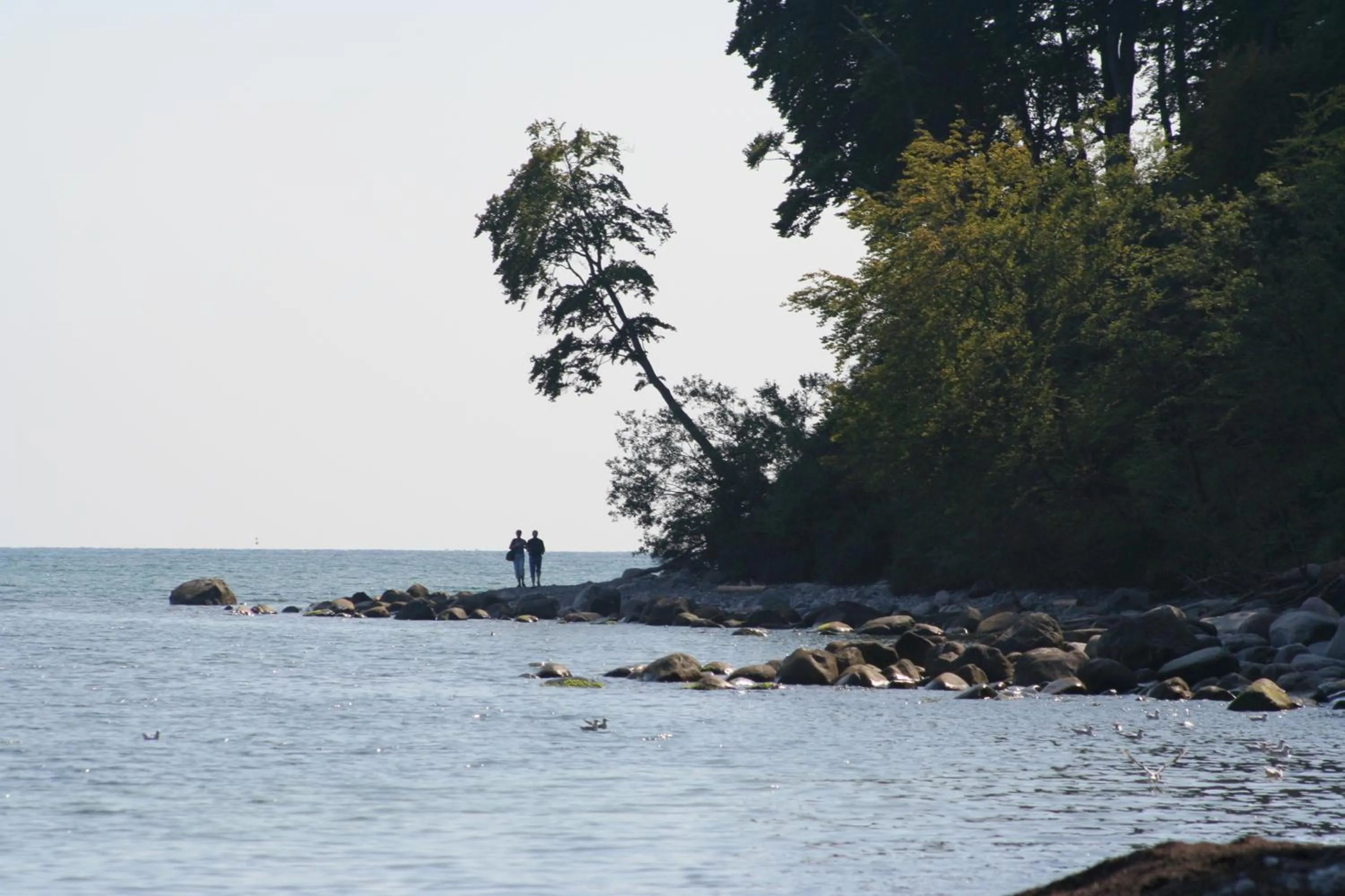 Beach in Tiendegaarden Møns Klint