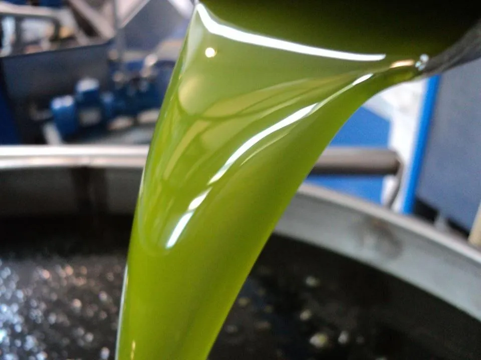 Food close-up in Masseria Stali, The Originals Relais