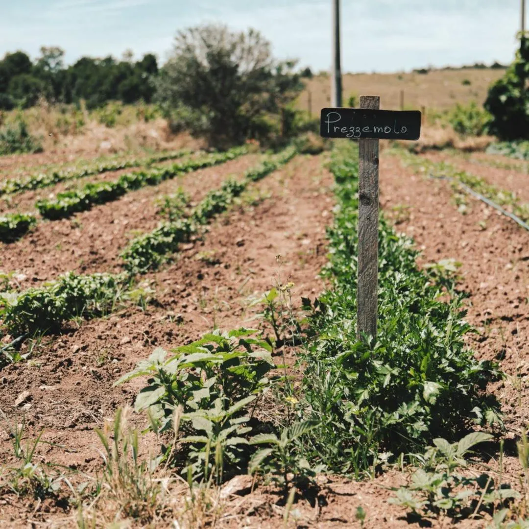 Garden in Masseria Stali, The Originals Relais