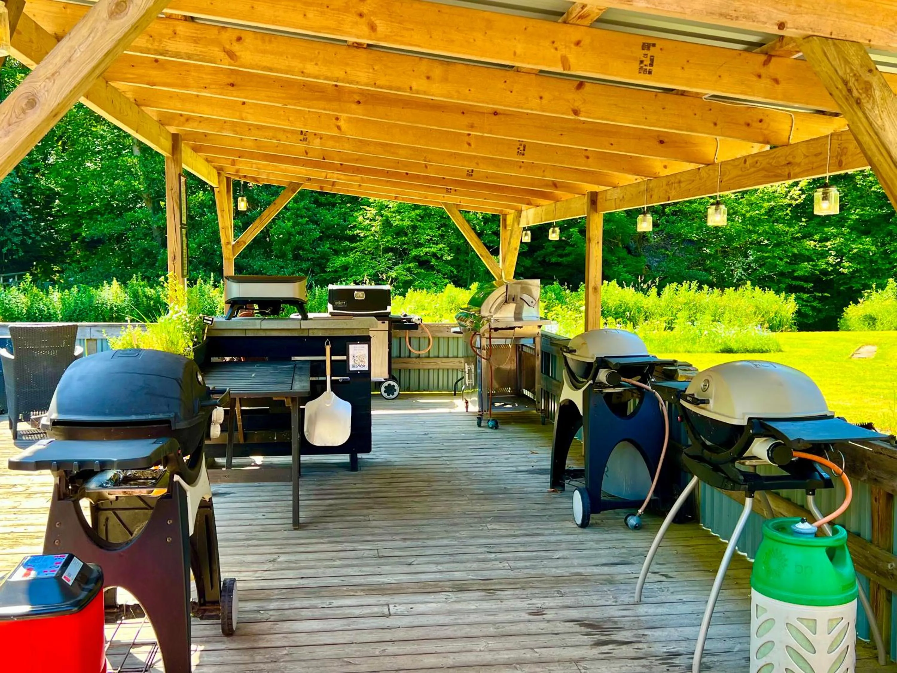 BBQ facilities in Hotel Skovly