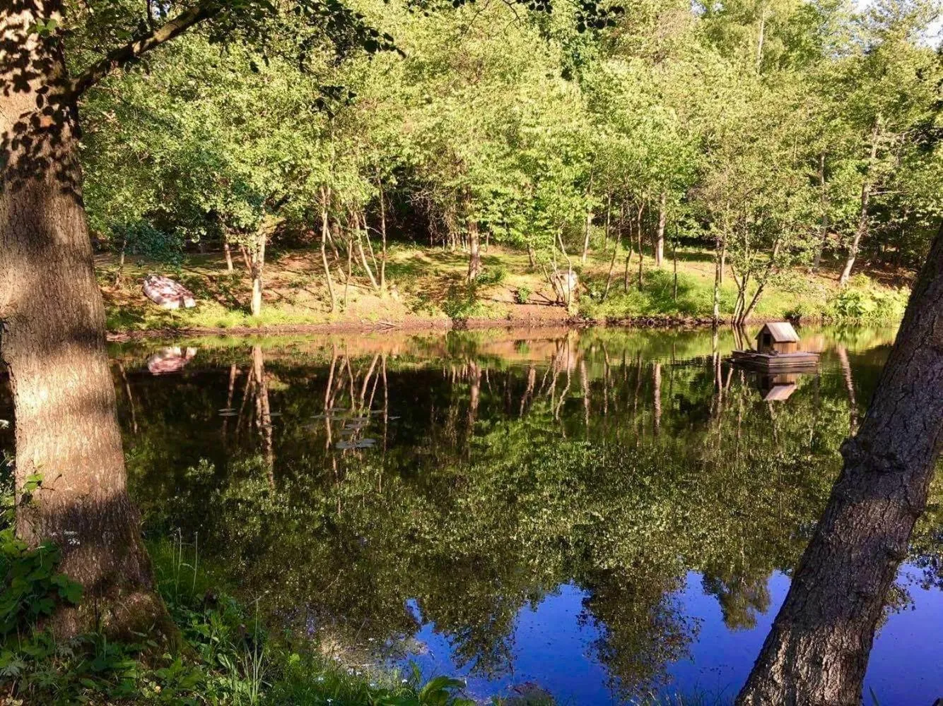 Natural landscape in Hotel Skovly