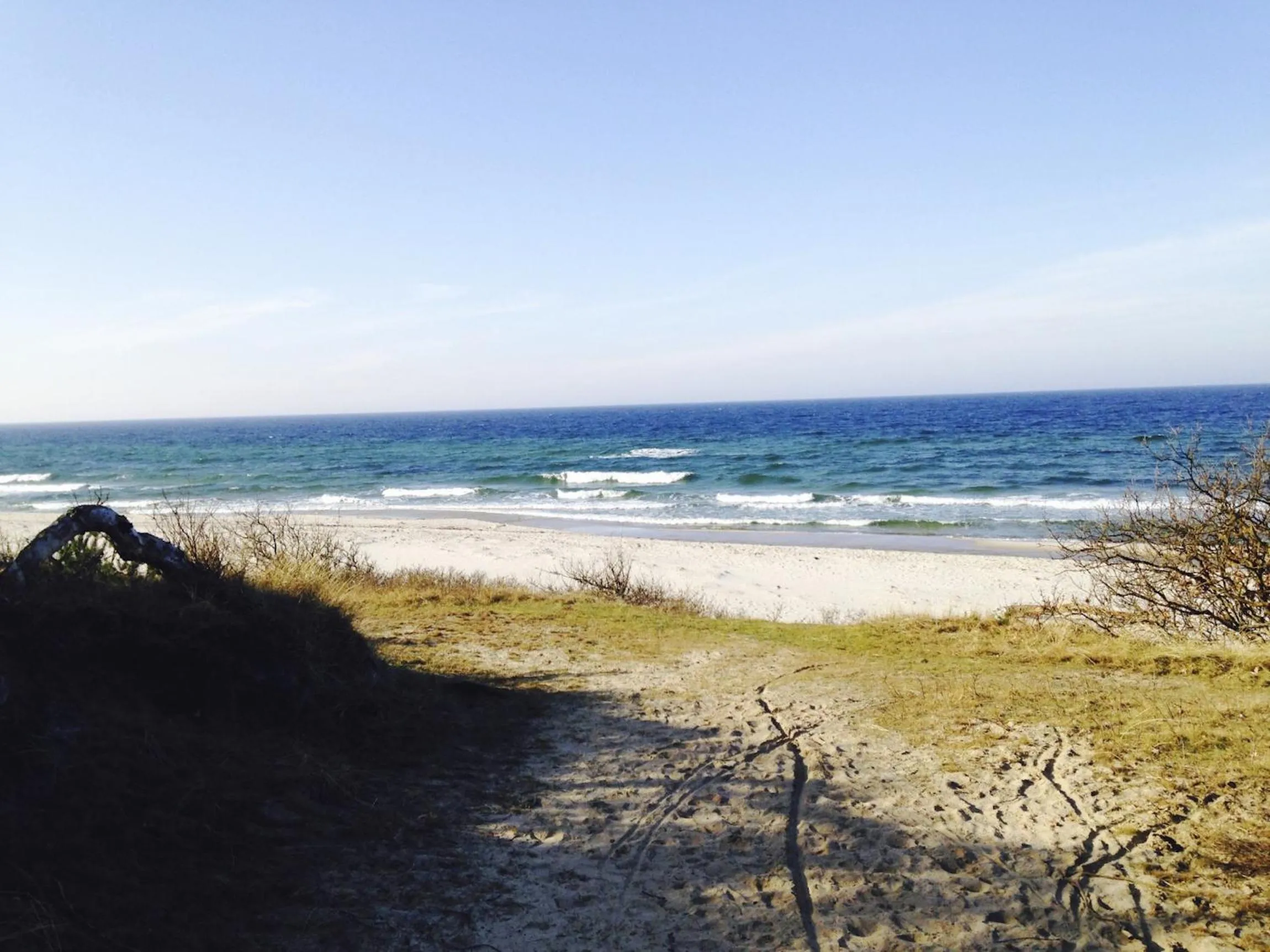 Natural landscape in Hotel Skovly