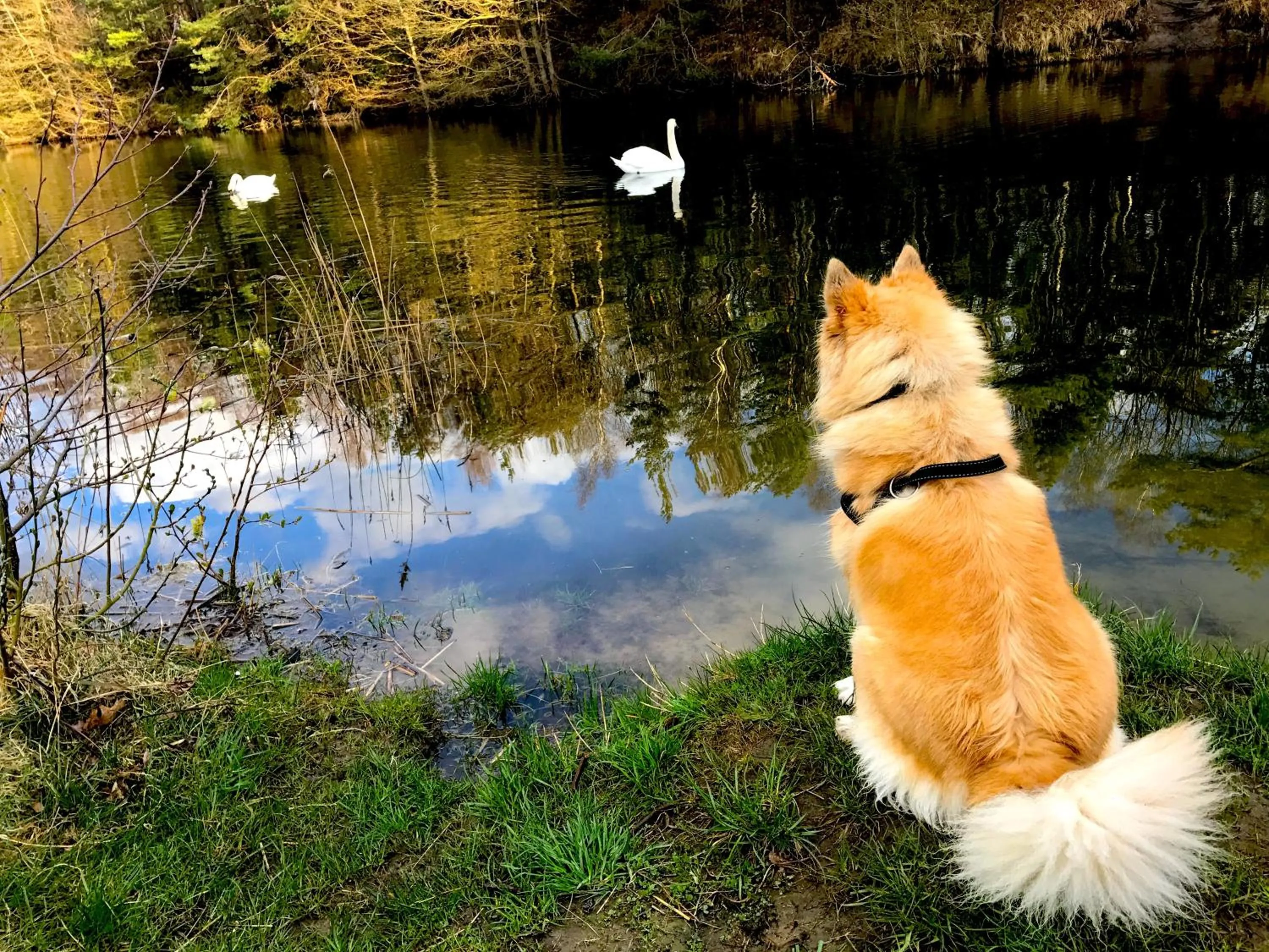 Neighbourhood in Hotel Skovly